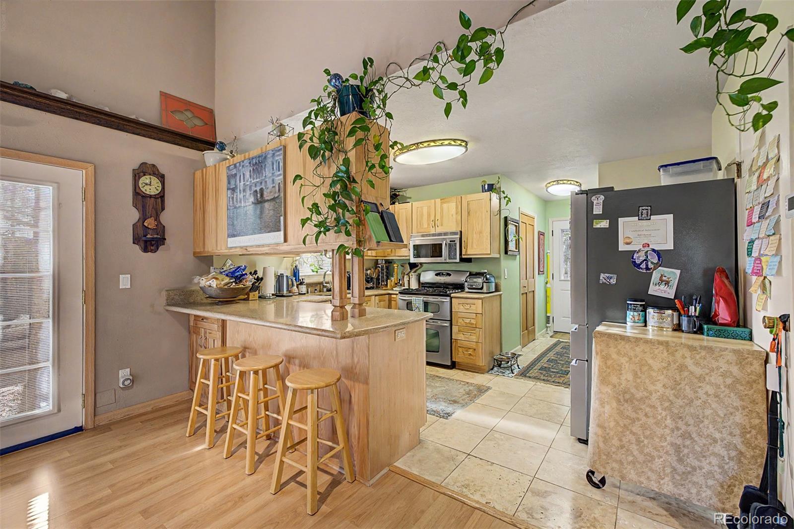 MLS Image #10 for 55  rafferty drive,leadville, Colorado
