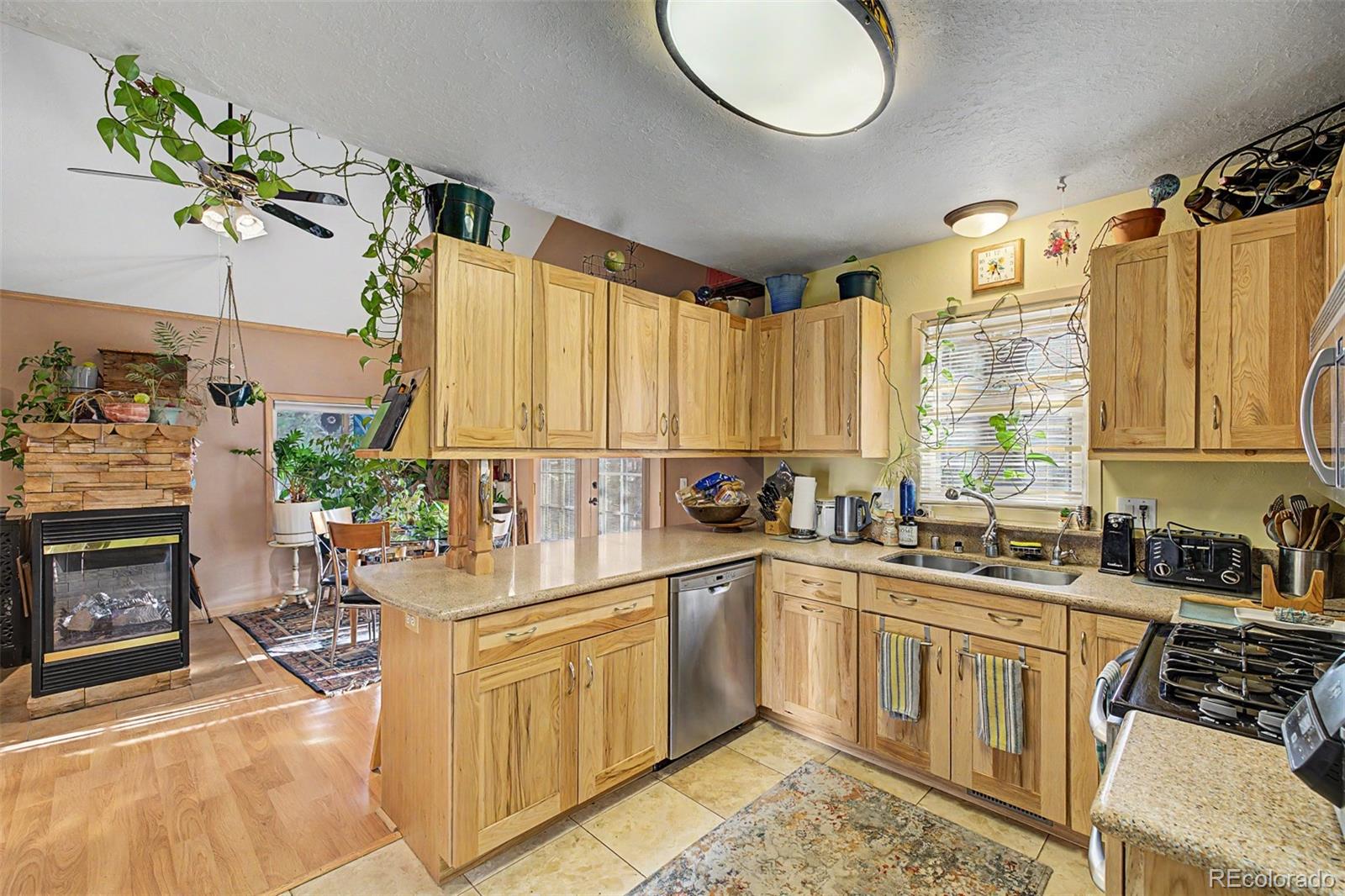 MLS Image #12 for 55  rafferty drive,leadville, Colorado