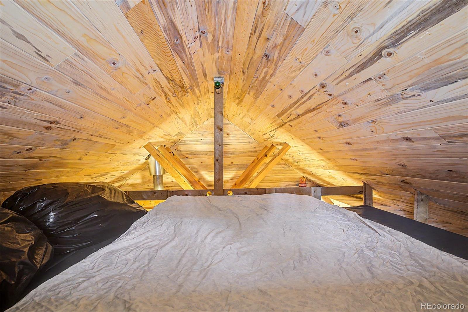 MLS Image #28 for 55  rafferty drive,leadville, Colorado