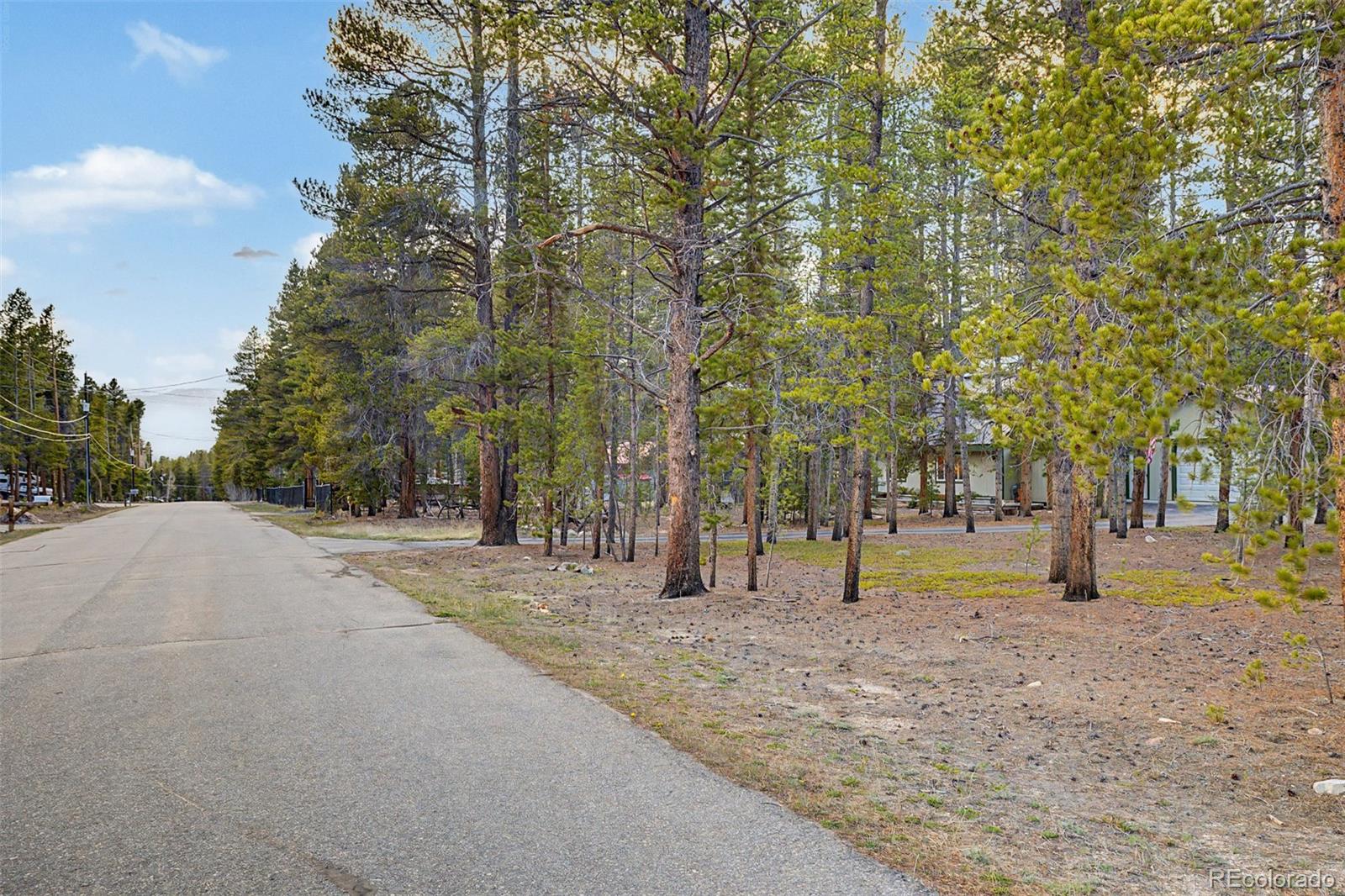 MLS Image #35 for 55  rafferty drive,leadville, Colorado