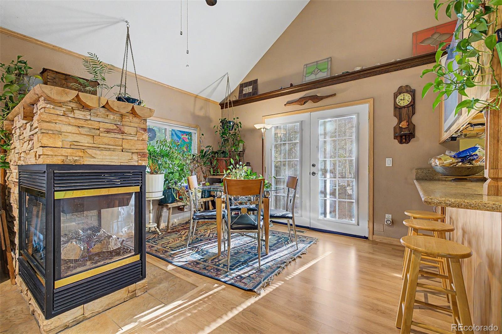 MLS Image #8 for 55  rafferty drive,leadville, Colorado