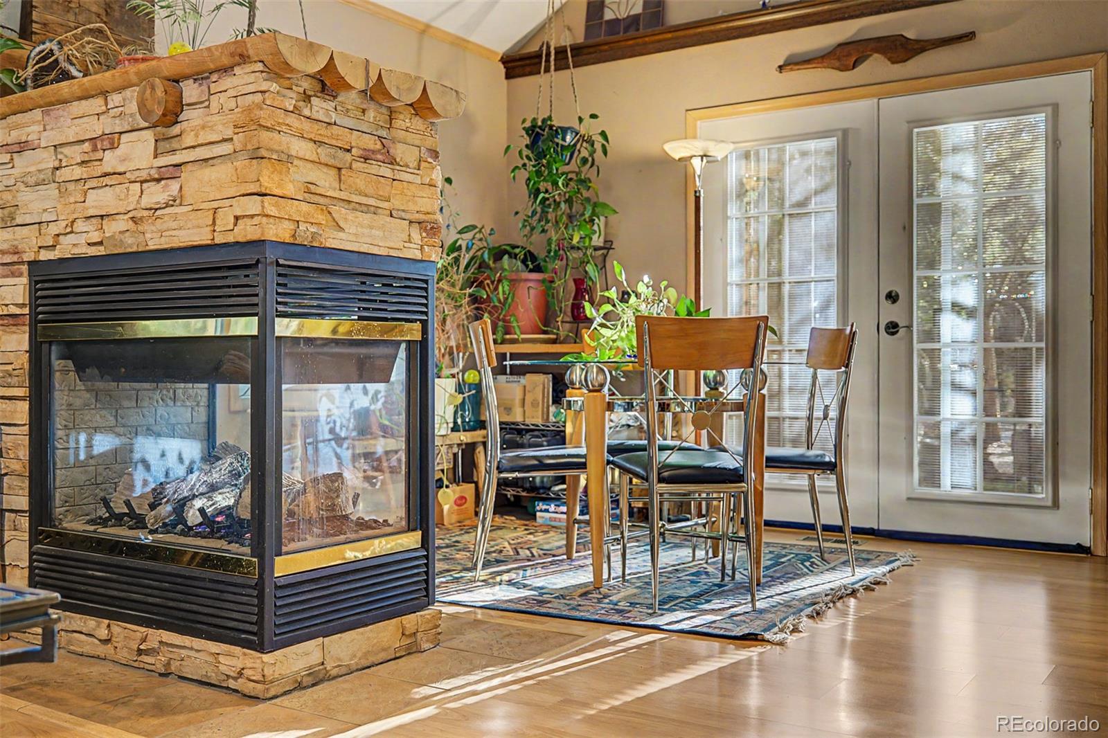 MLS Image #9 for 55  rafferty drive,leadville, Colorado