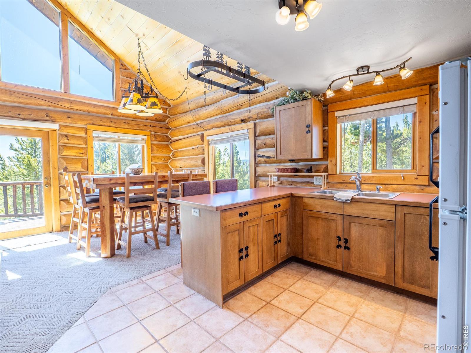 MLS Image #10 for 1732  jicarilla trail,red feather lakes, Colorado