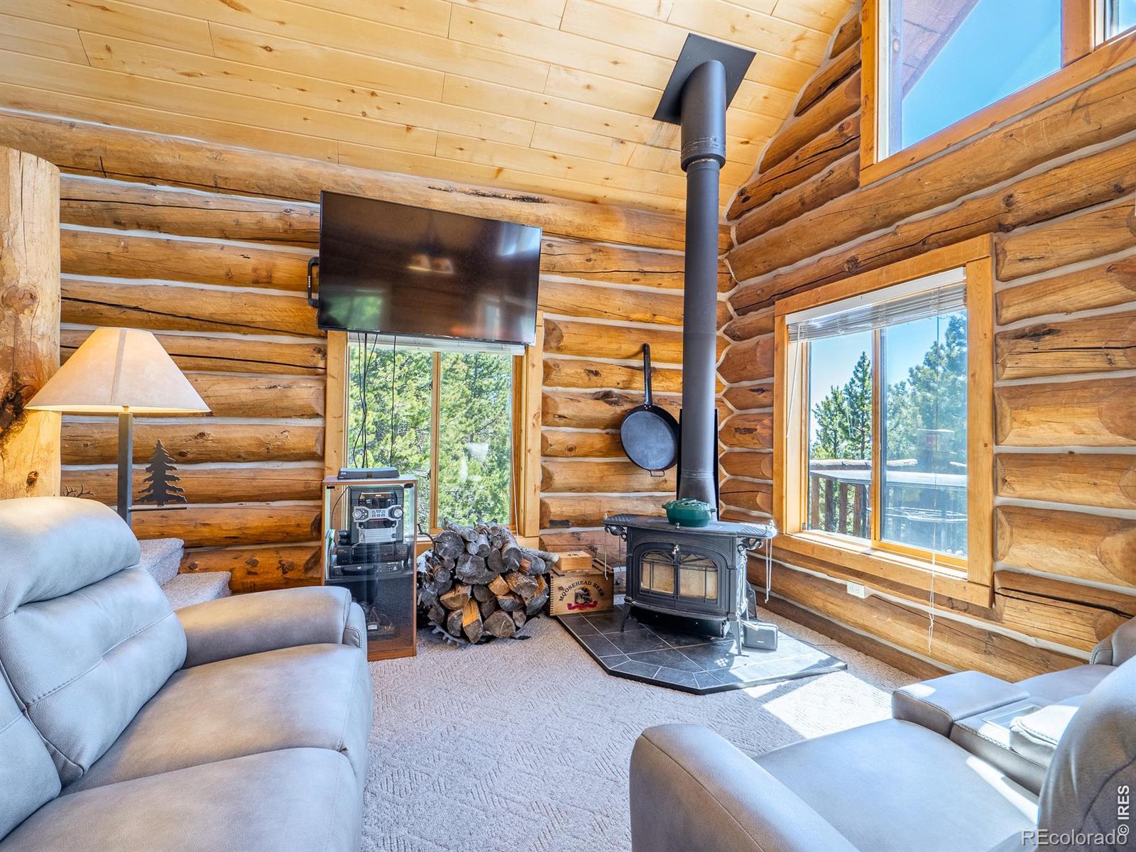 MLS Image #13 for 1732  jicarilla trail,red feather lakes, Colorado