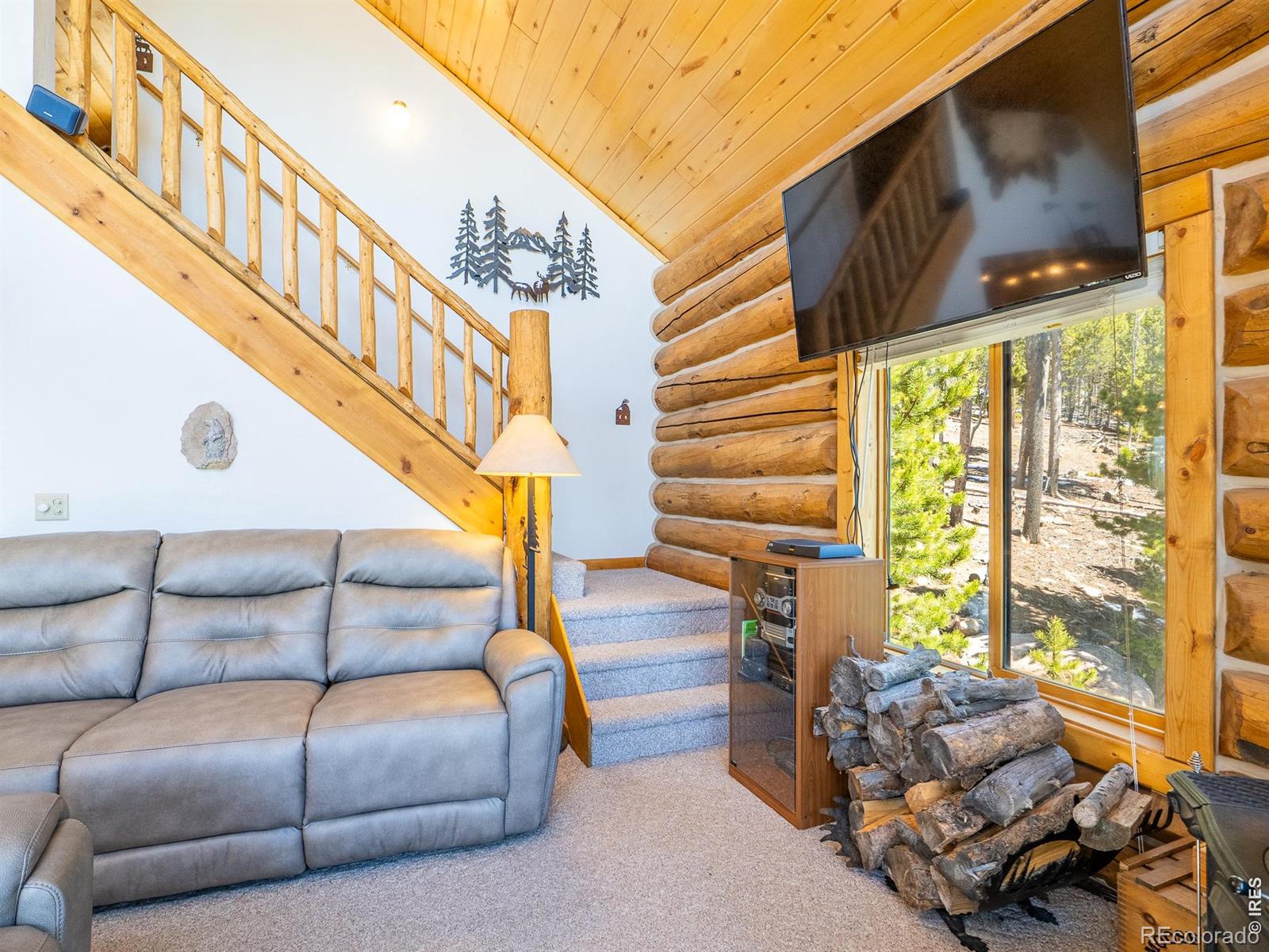 MLS Image #20 for 1732  jicarilla trail,red feather lakes, Colorado