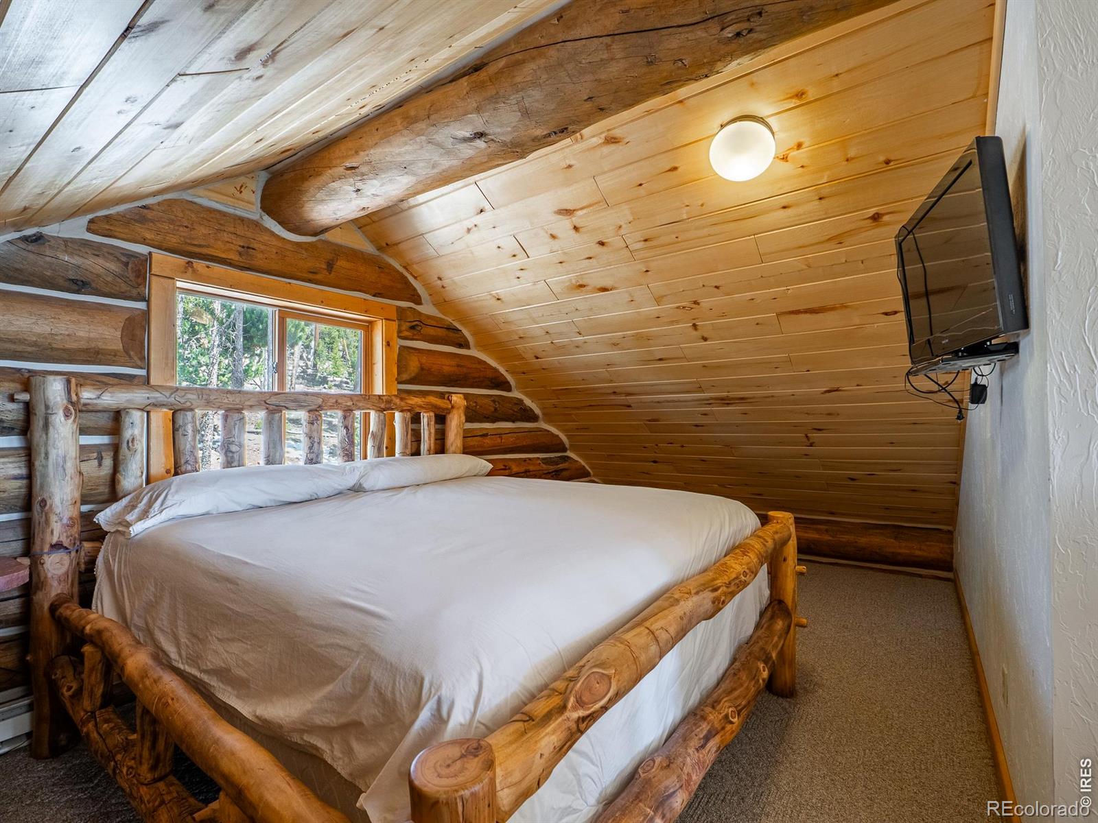 MLS Image #22 for 1732  jicarilla trail,red feather lakes, Colorado