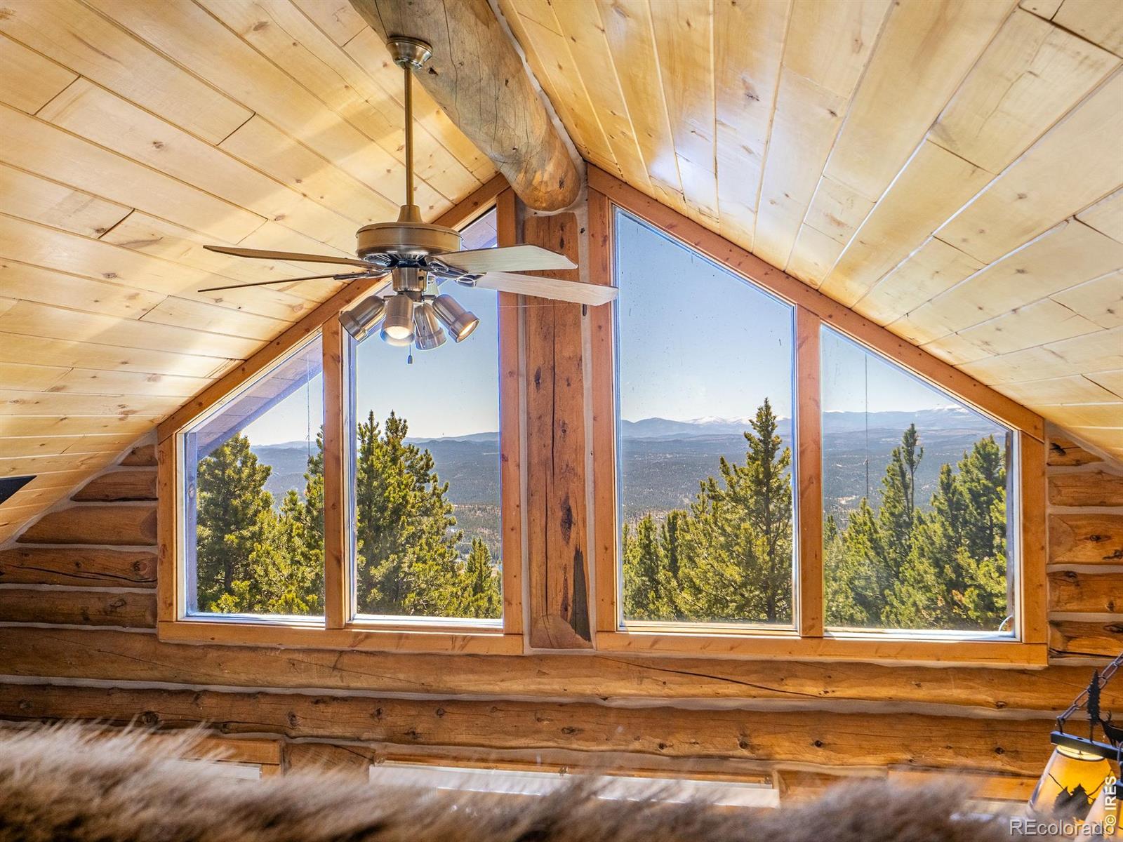 MLS Image #23 for 1732  jicarilla trail,red feather lakes, Colorado