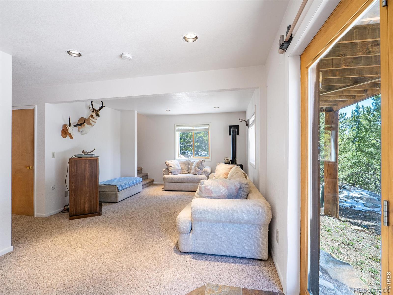 MLS Image #27 for 1732  jicarilla trail,red feather lakes, Colorado