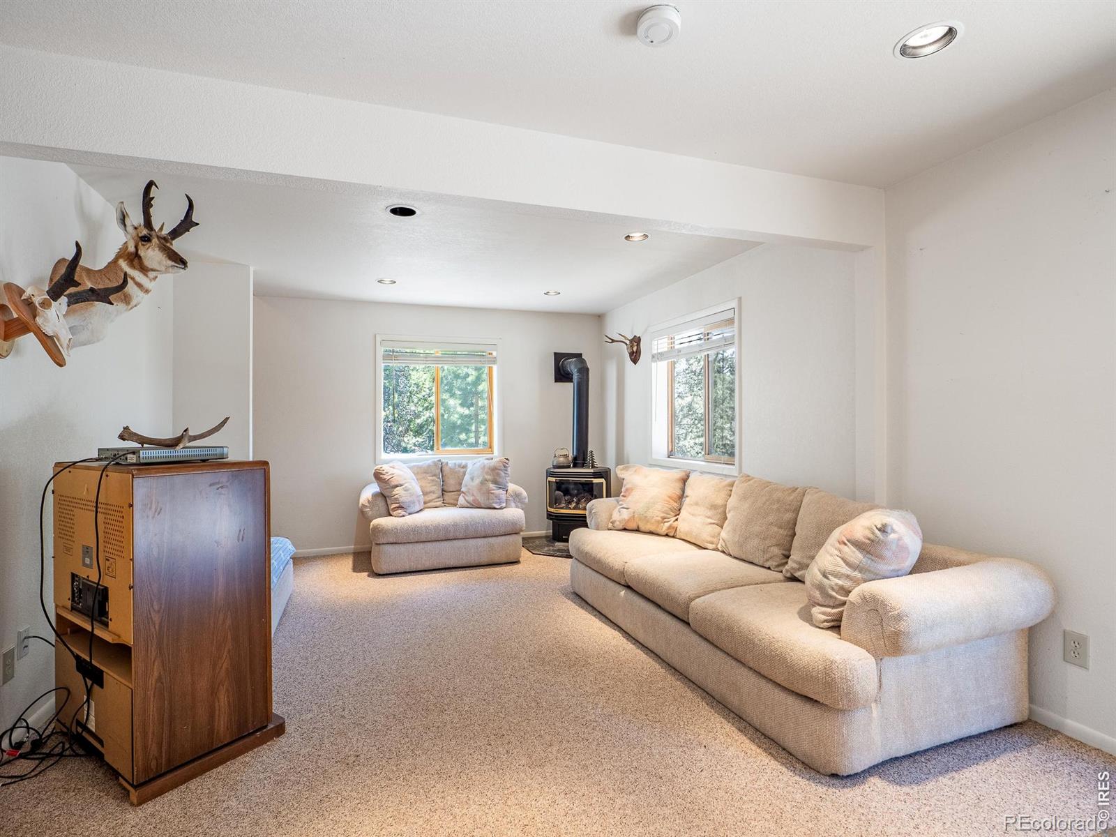 MLS Image #28 for 1732  jicarilla trail,red feather lakes, Colorado