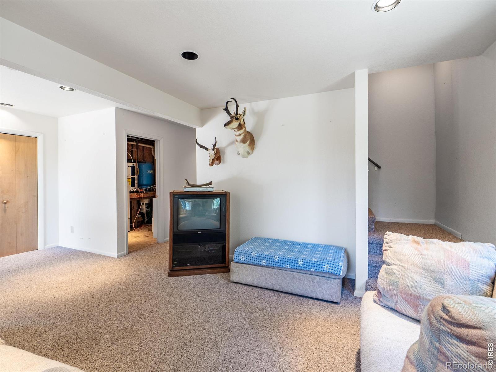 MLS Image #31 for 1732  jicarilla trail,red feather lakes, Colorado