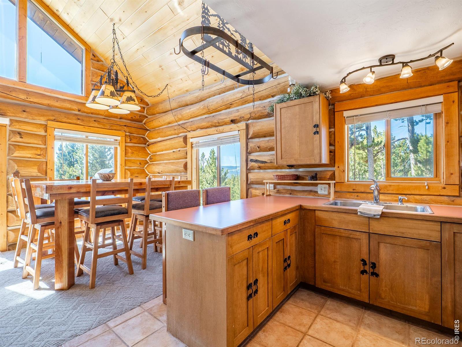 MLS Image #6 for 1732  jicarilla trail,red feather lakes, Colorado