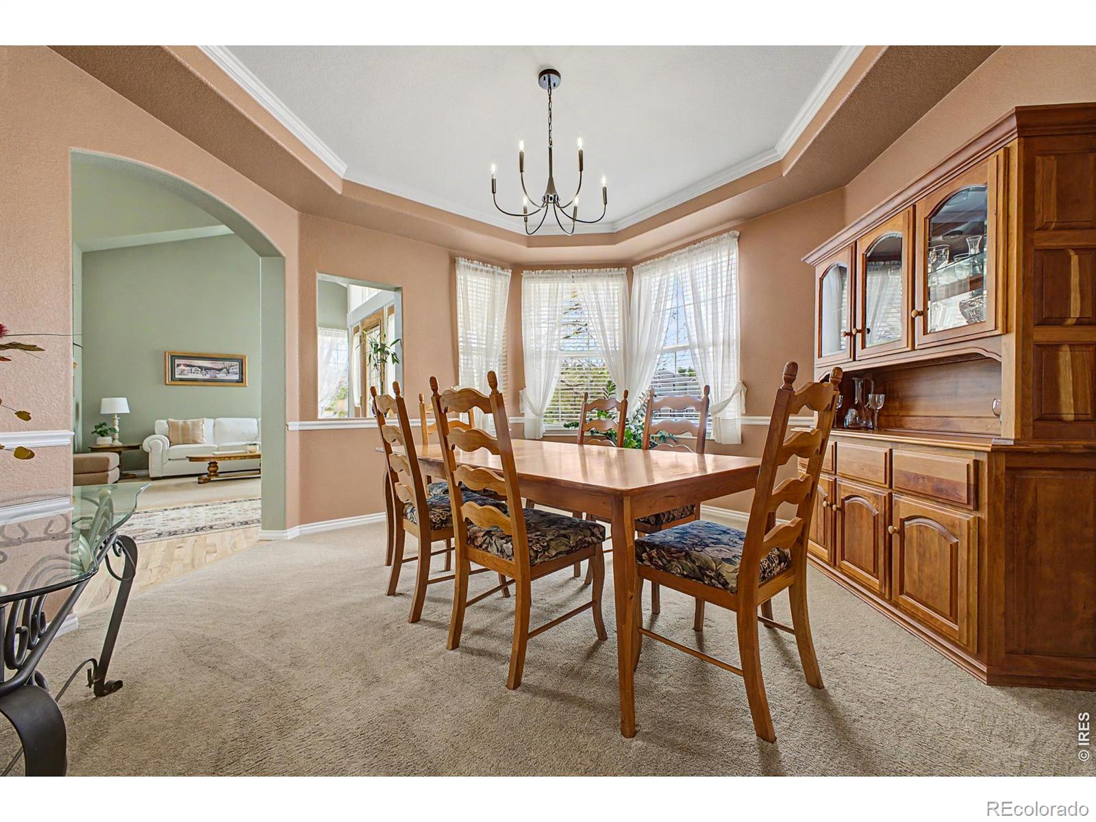 MLS Image #10 for 1044  willow creek circle,longmont, Colorado