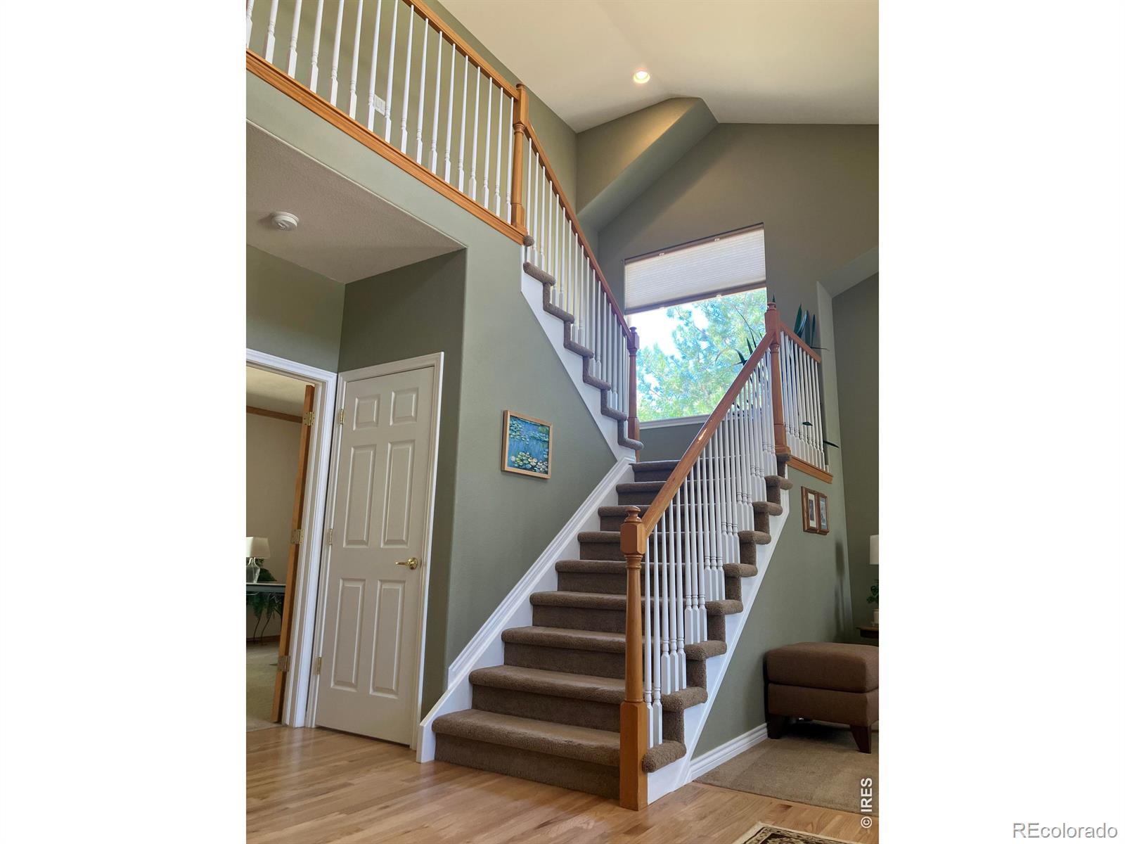 MLS Image #13 for 1044  willow creek circle,longmont, Colorado