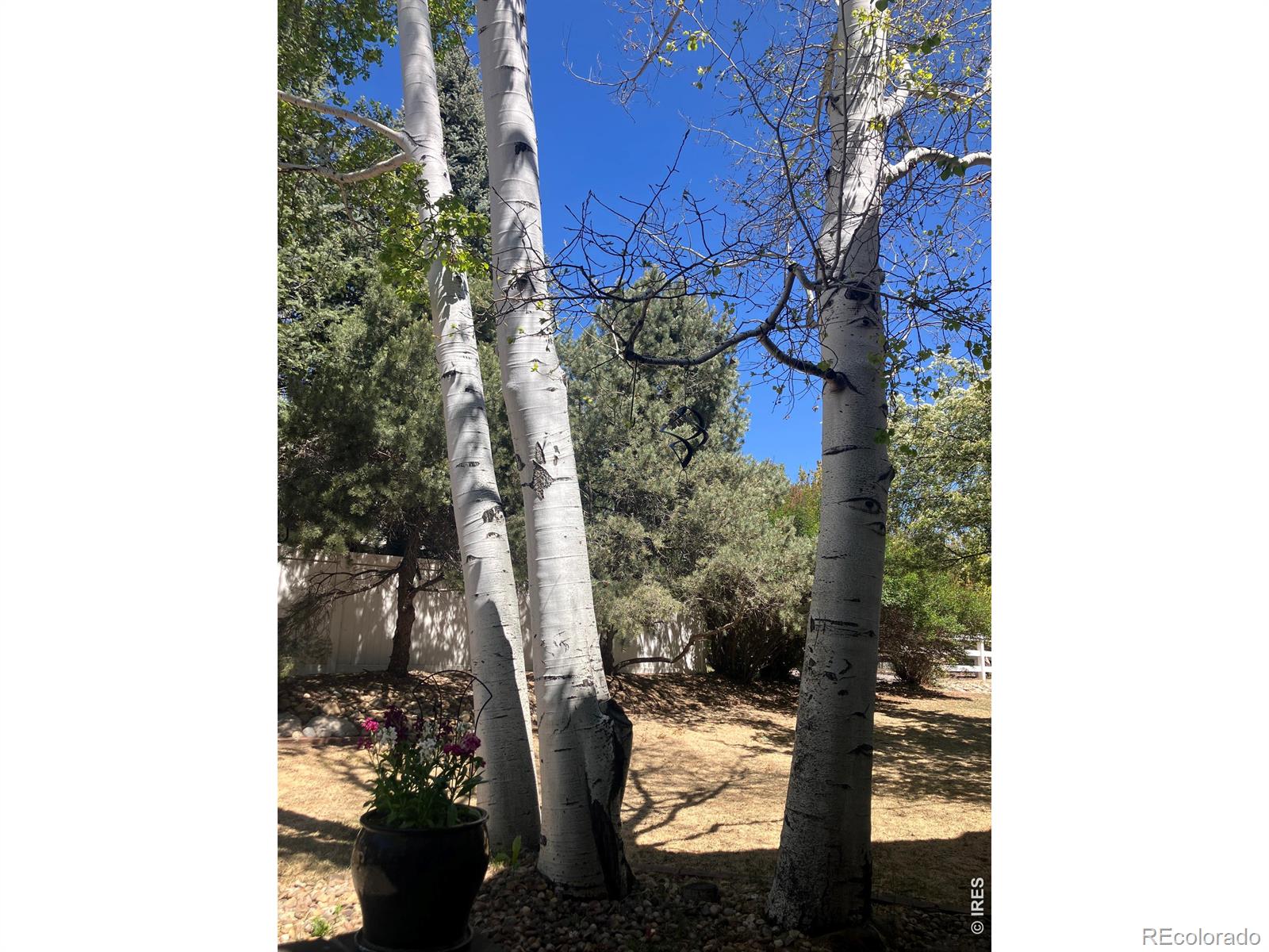 MLS Image #39 for 1044  willow creek circle,longmont, Colorado