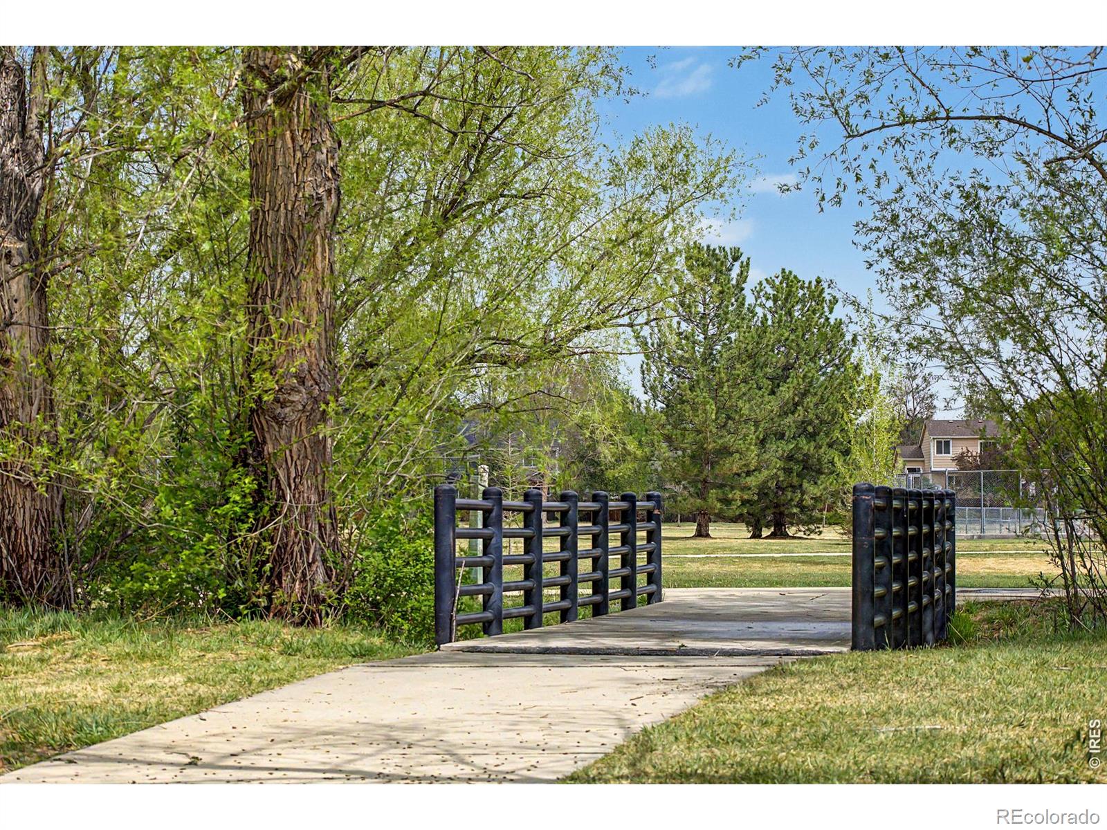MLS Image #44 for 1044  willow creek circle,longmont, Colorado