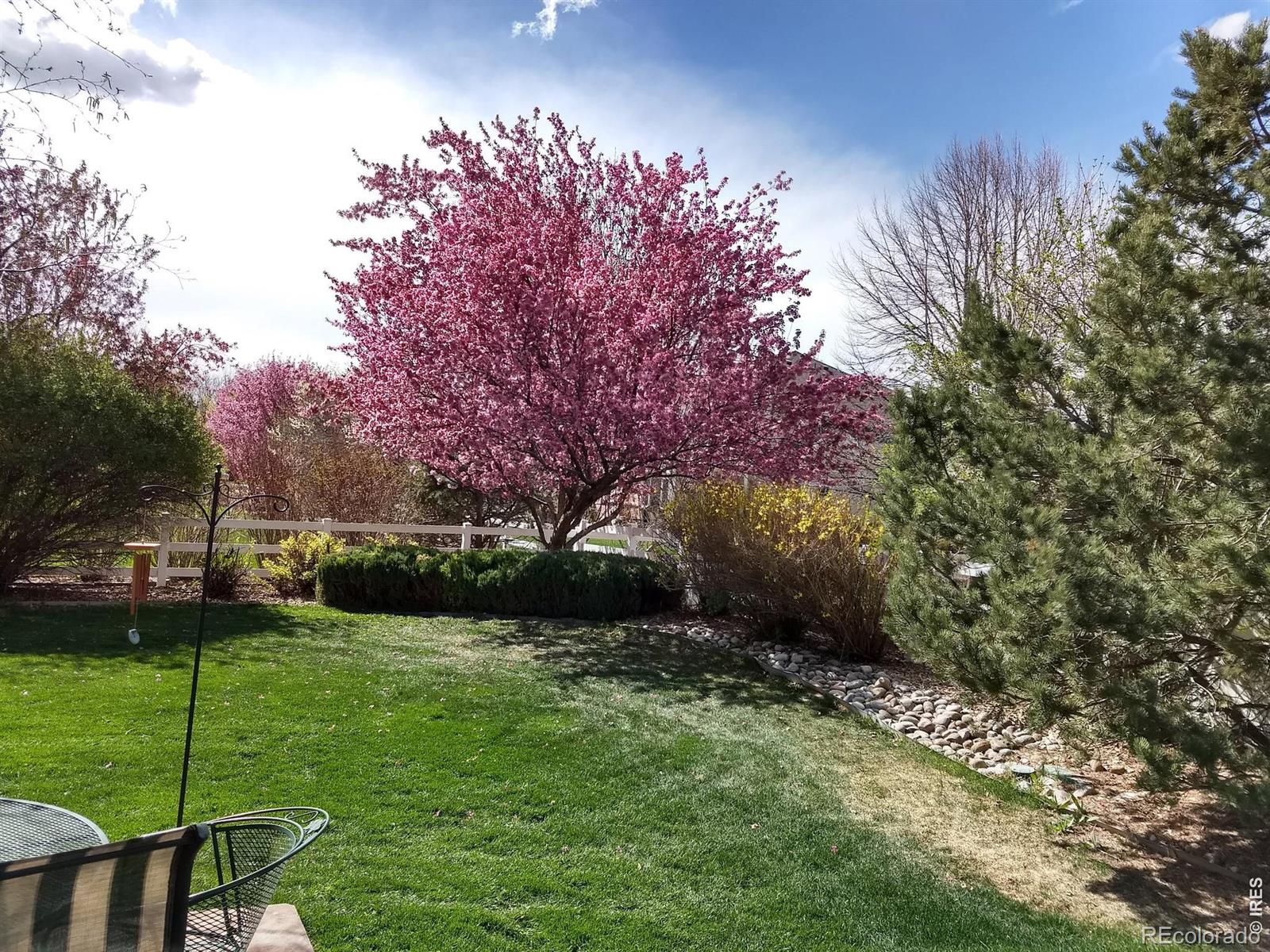 MLS Image #47 for 1044  willow creek circle,longmont, Colorado