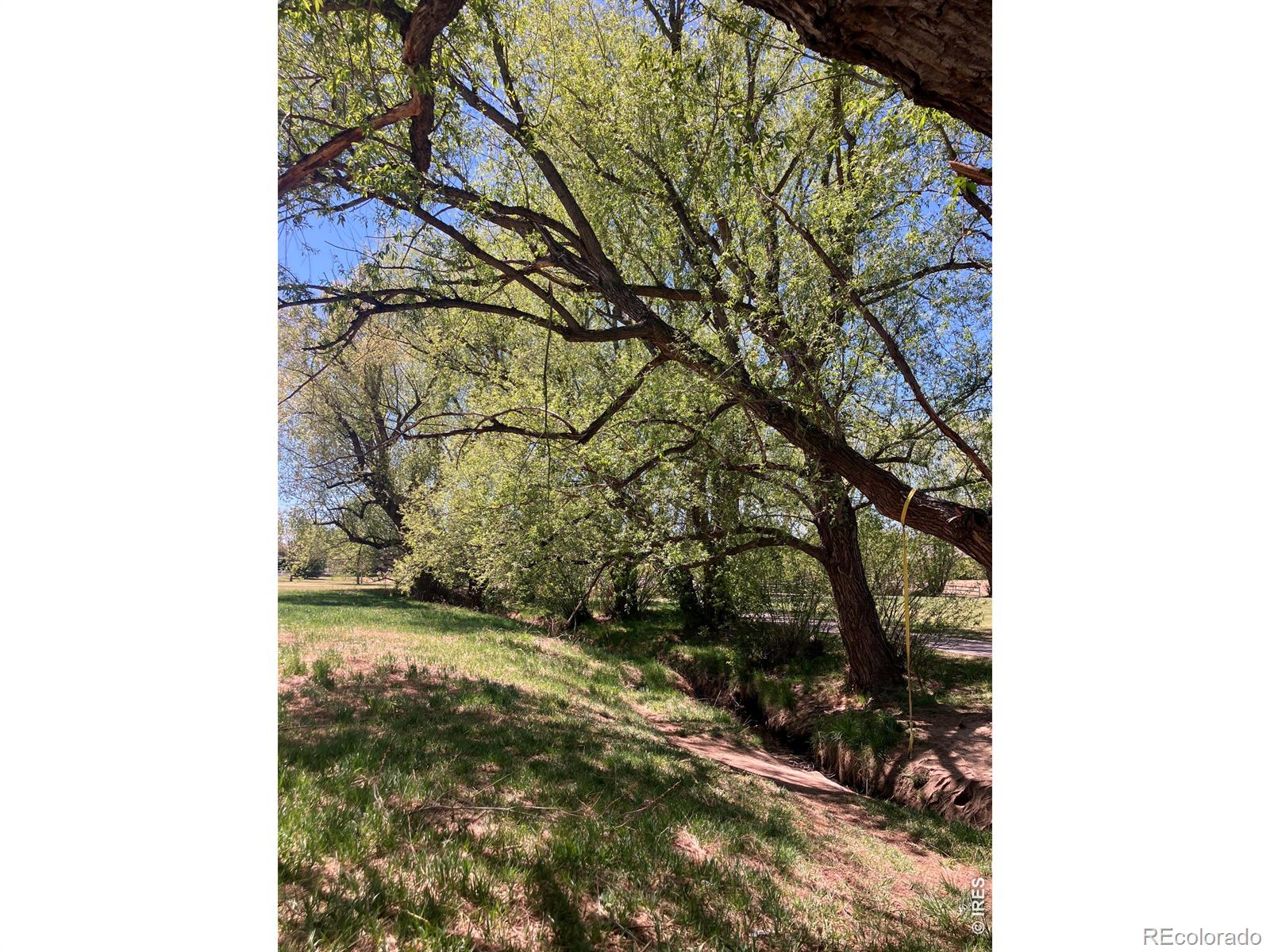 MLS Image #48 for 1044  willow creek circle,longmont, Colorado