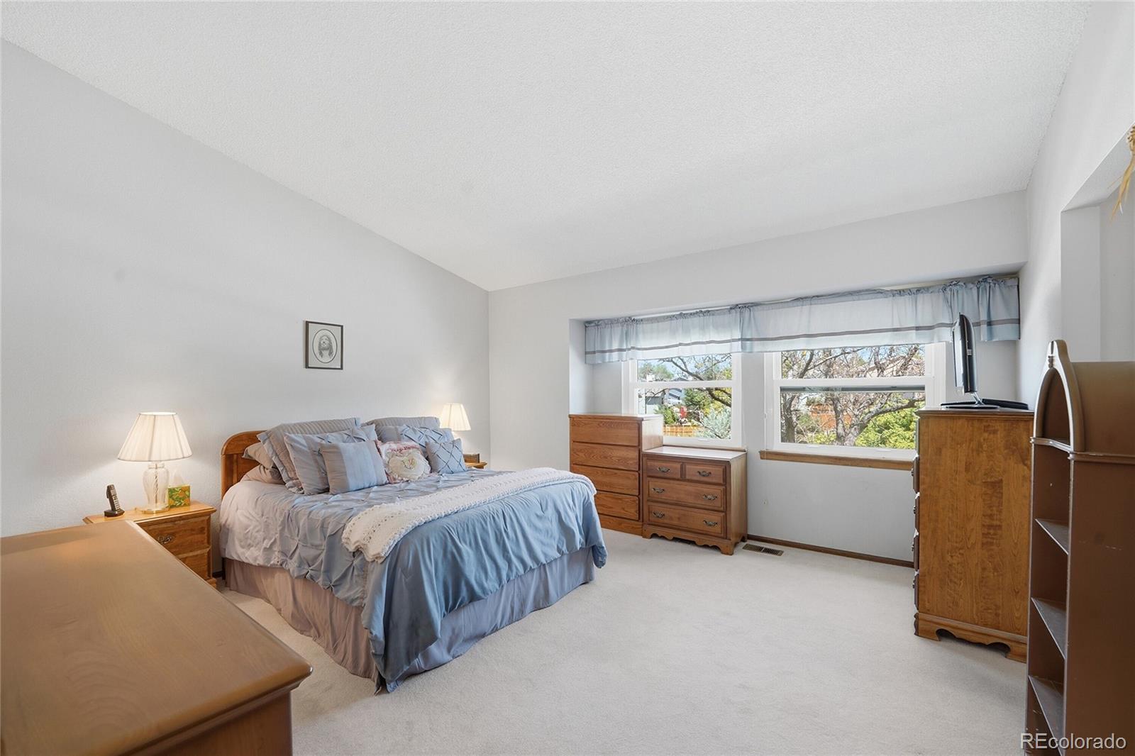 MLS Image #15 for 622  northridge road,highlands ranch, Colorado