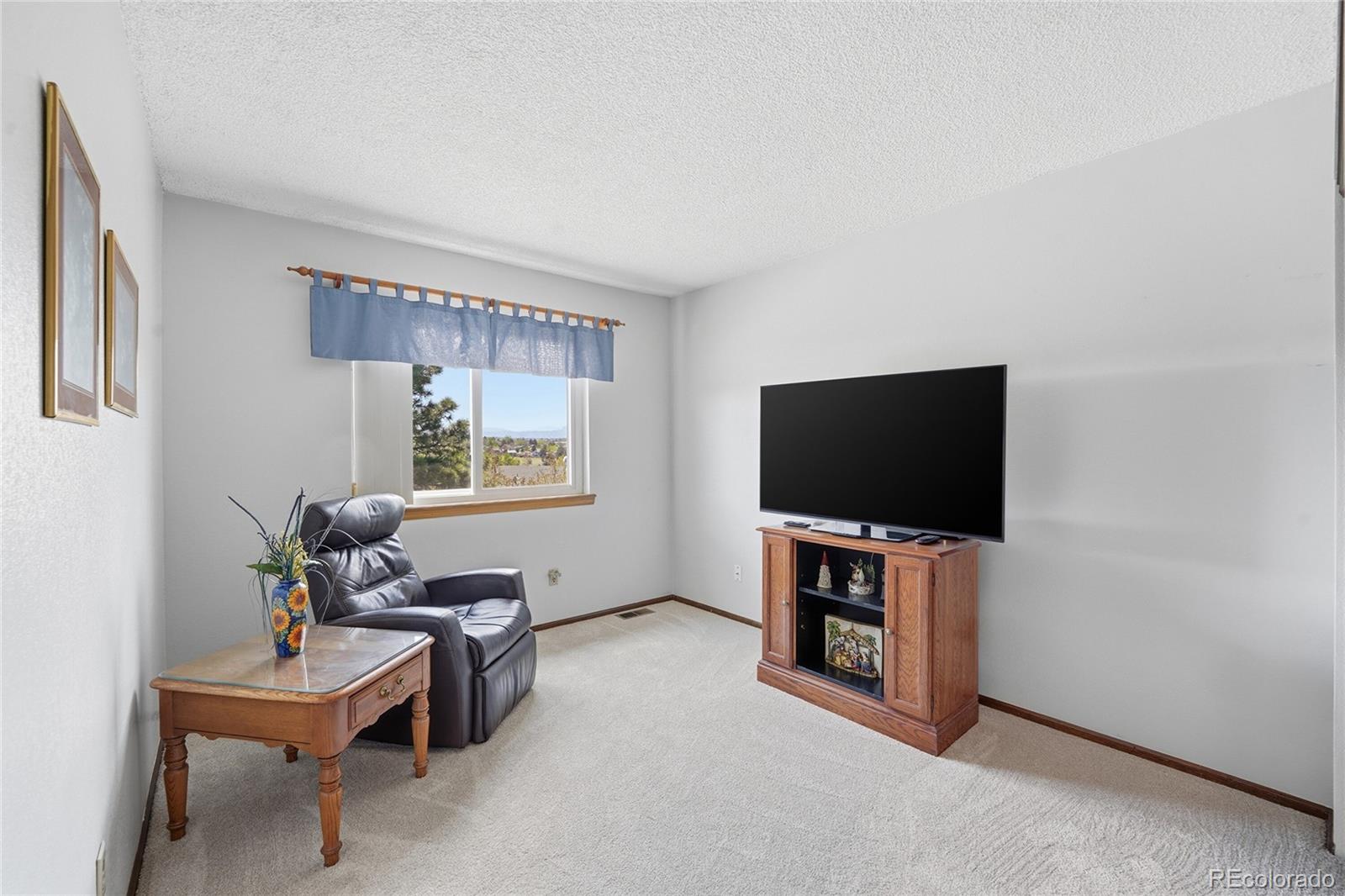 MLS Image #17 for 622  northridge road,highlands ranch, Colorado