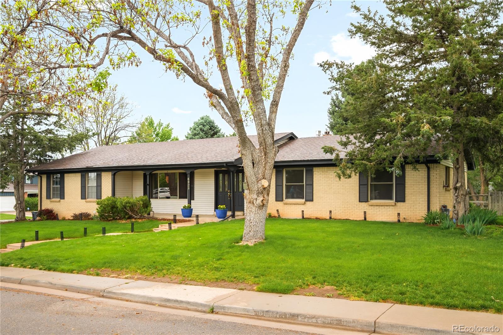 MLS Image #1 for 6928 s columbine way,centennial, Colorado