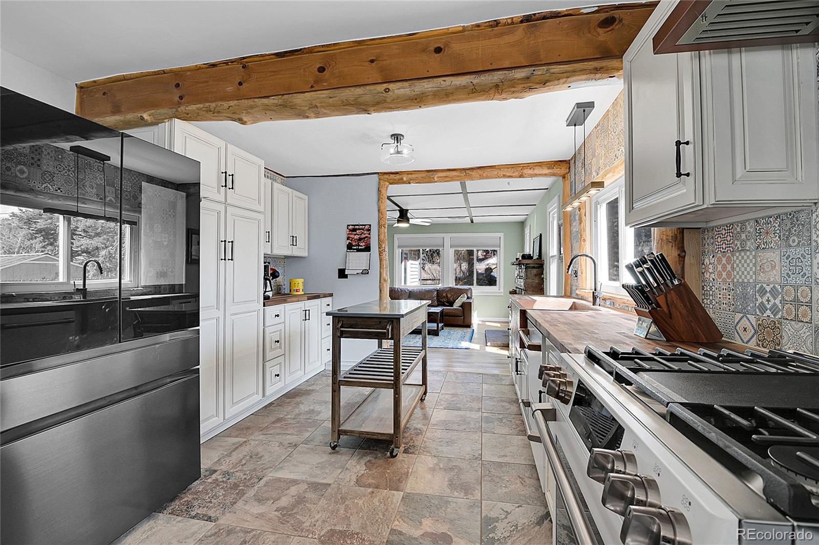 MLS Image #11 for 124  river drive,bailey, Colorado