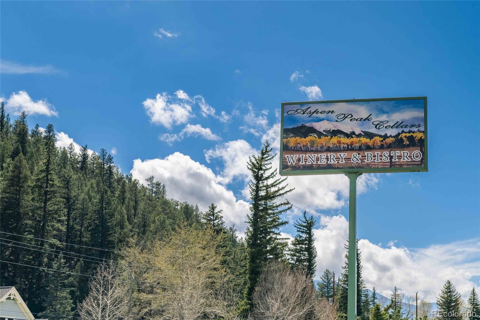 MLS Image #24 for 124  river drive,bailey, Colorado