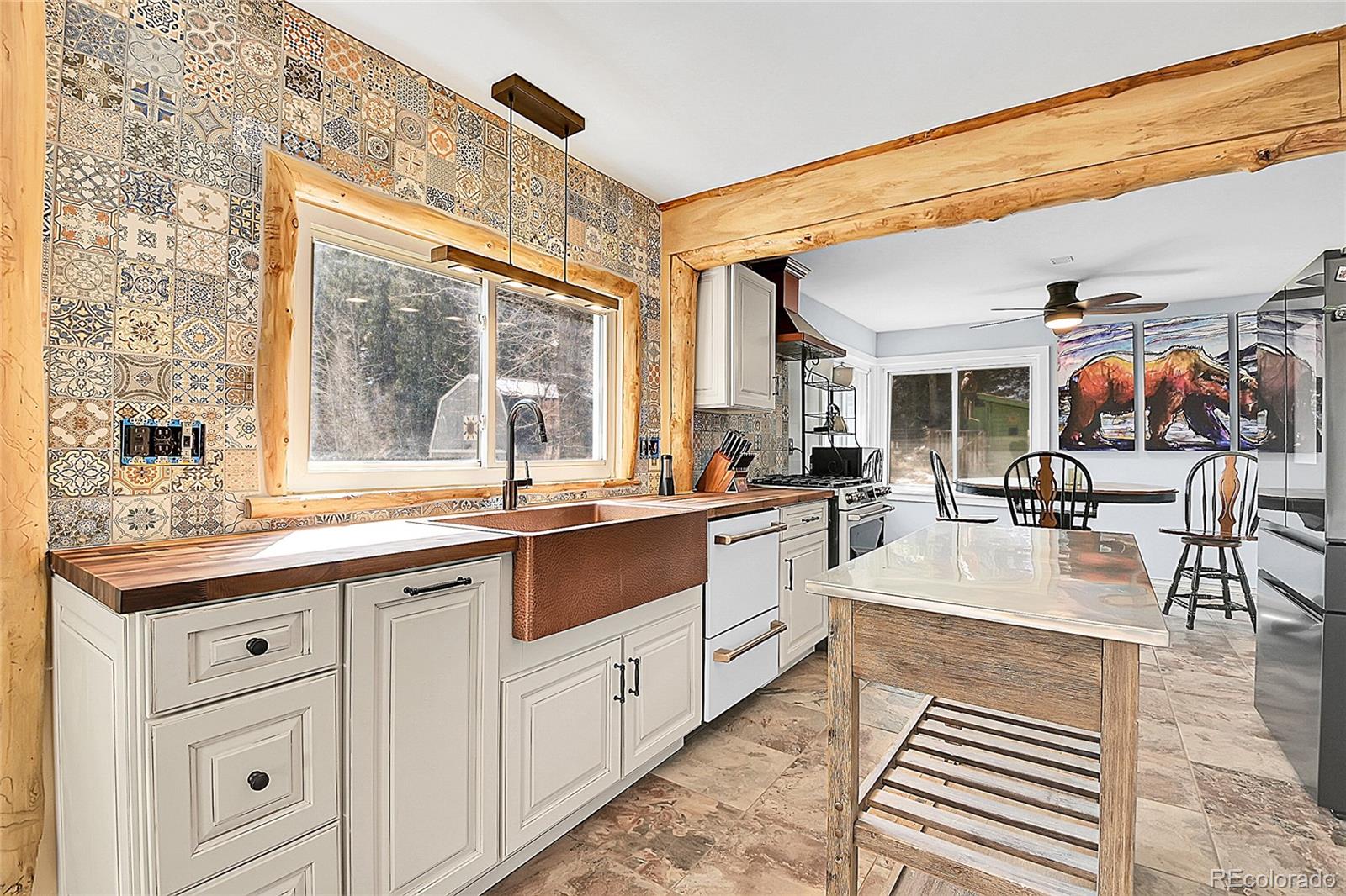 MLS Image #8 for 124  river drive,bailey, Colorado