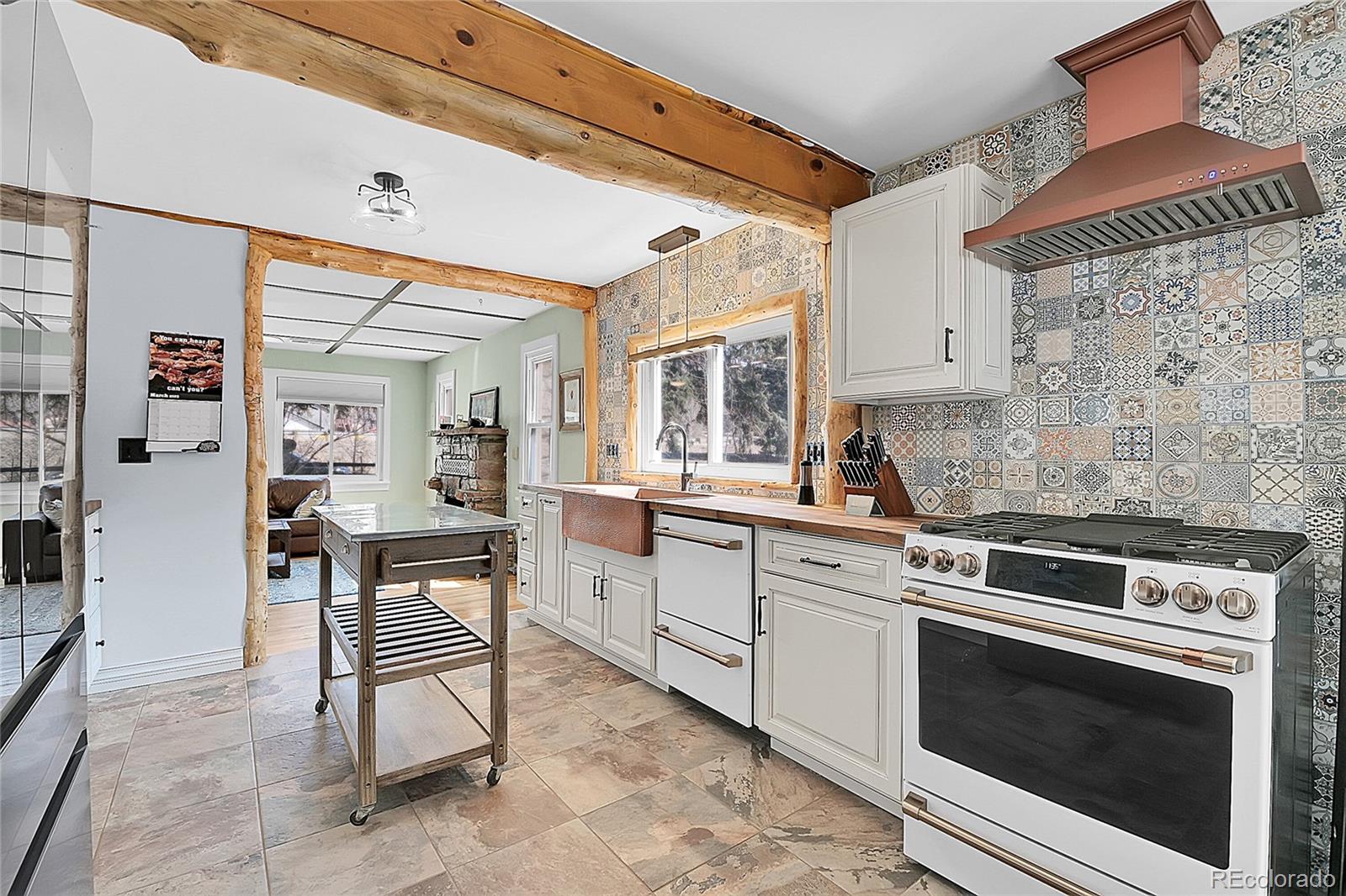 MLS Image #9 for 124  river drive,bailey, Colorado