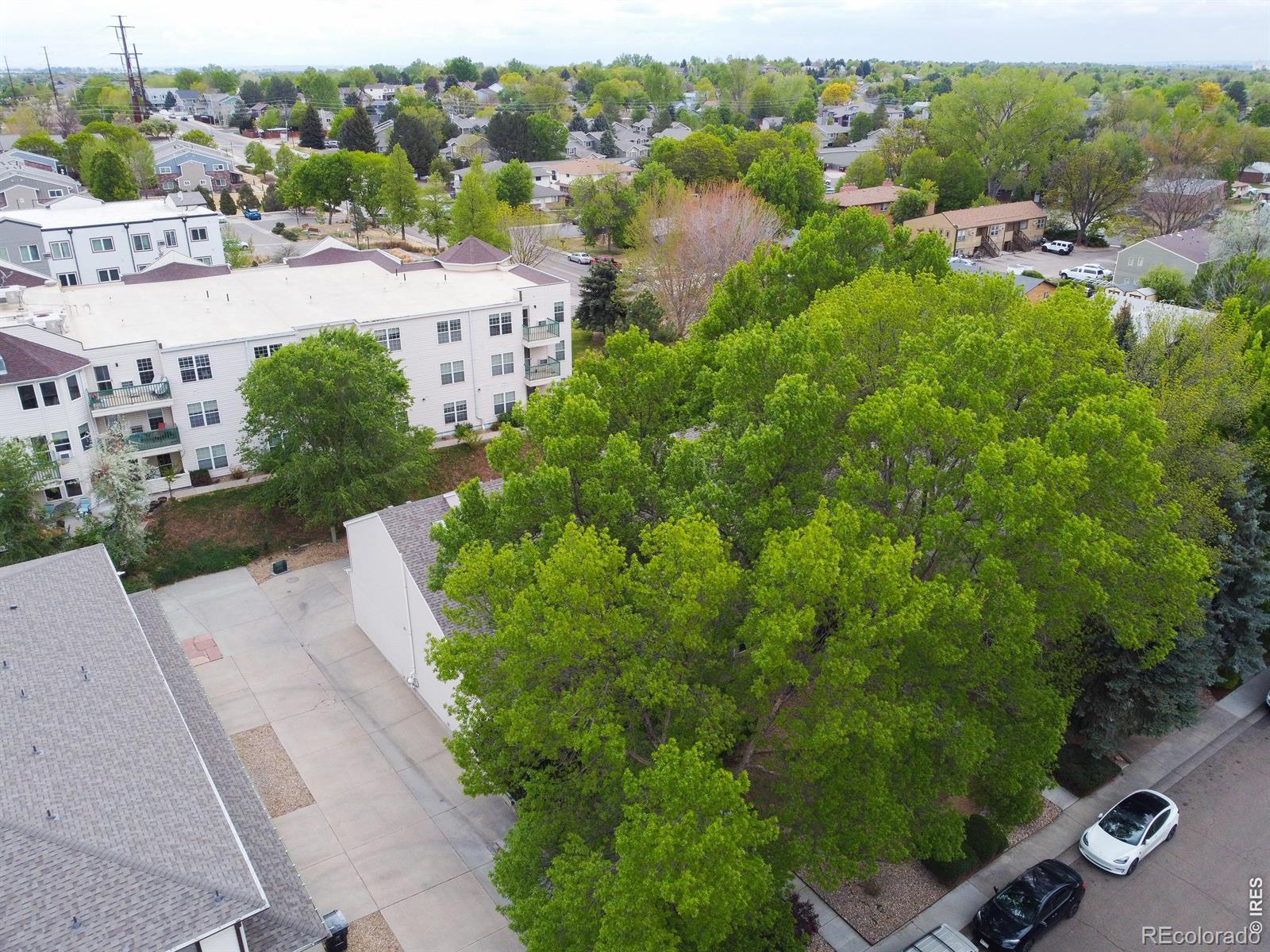 MLS Image #29 for 2112  meadow court,longmont, Colorado