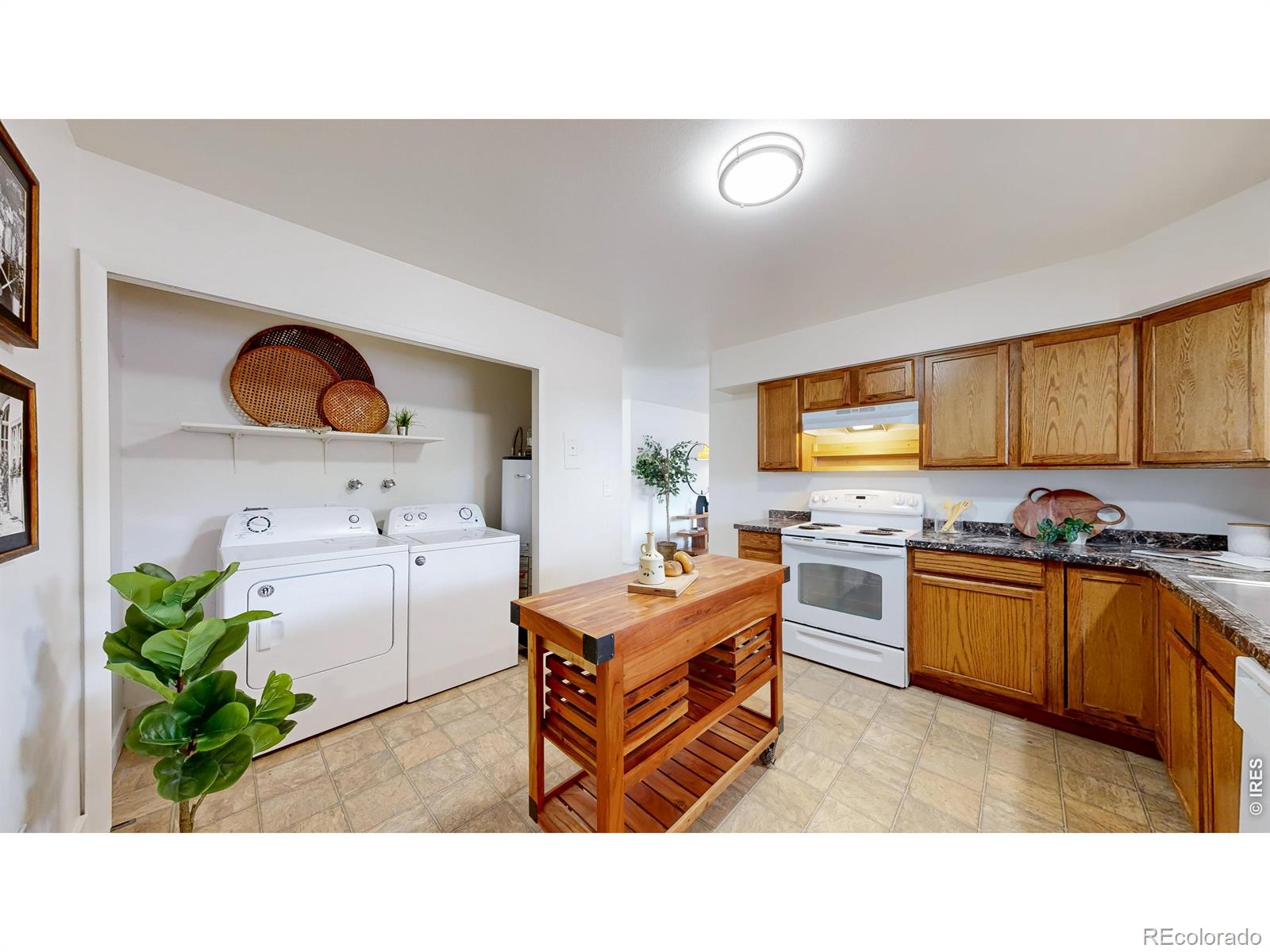 MLS Image #10 for 521 w drake road,fort collins, Colorado