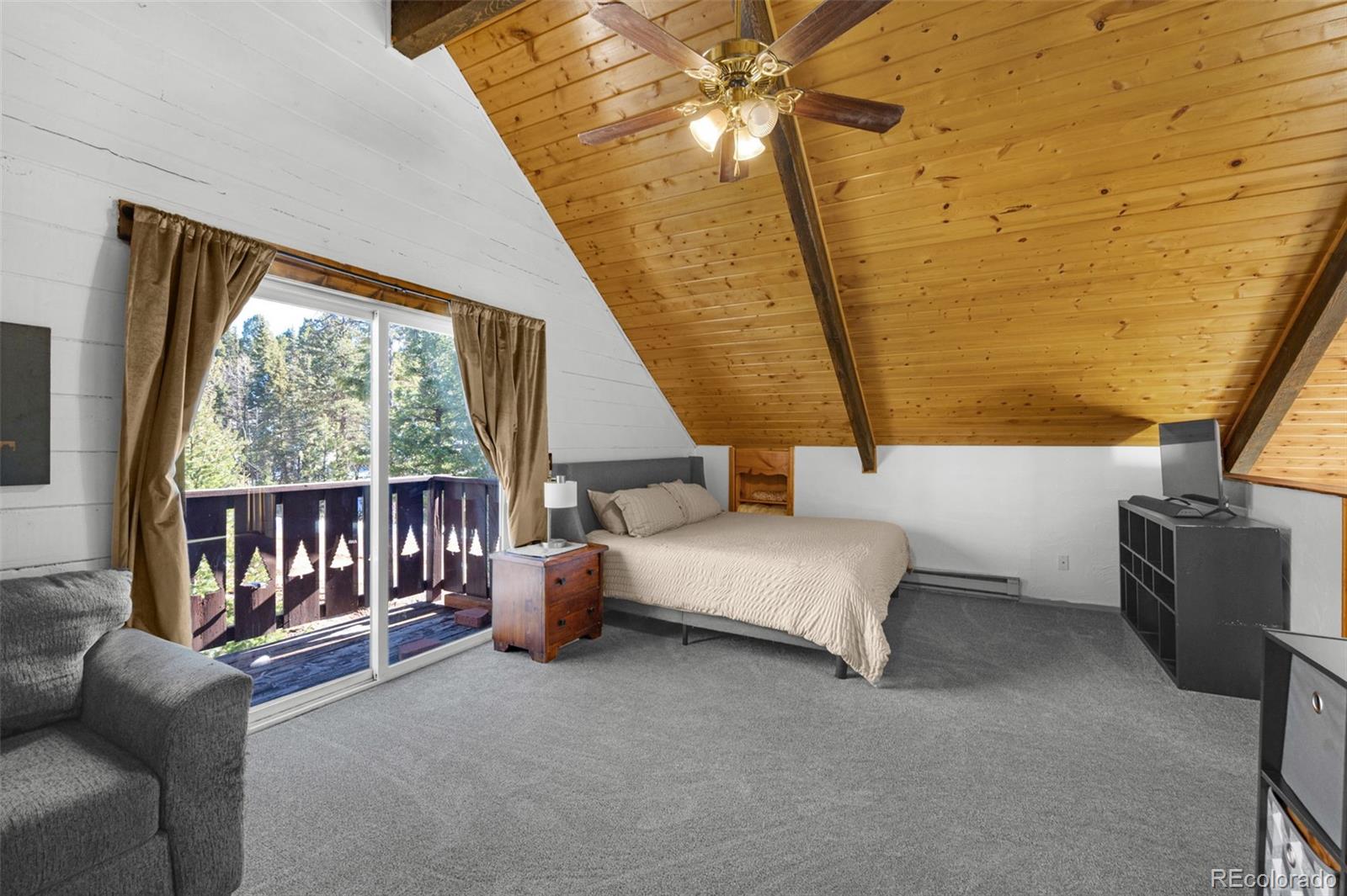 MLS Image #13 for 1276  pinewood road,florissant, Colorado