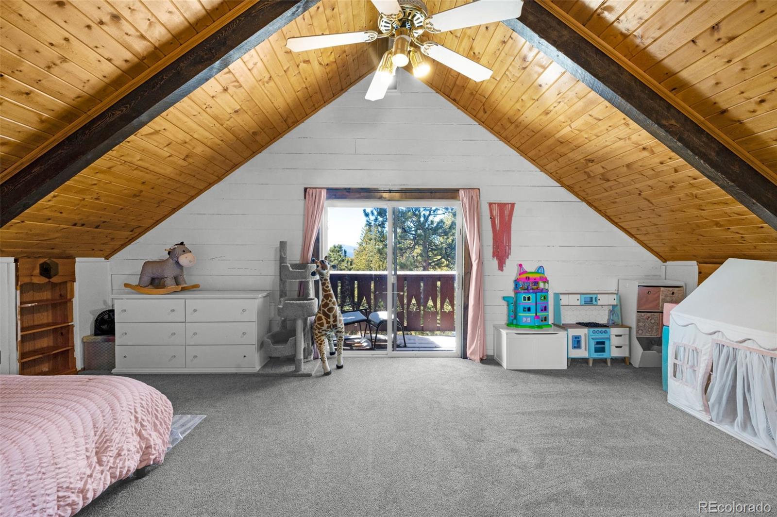 MLS Image #15 for 1276  pinewood road,florissant, Colorado