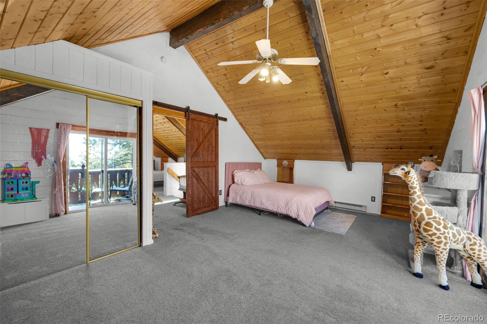 MLS Image #16 for 1276  pinewood road,florissant, Colorado
