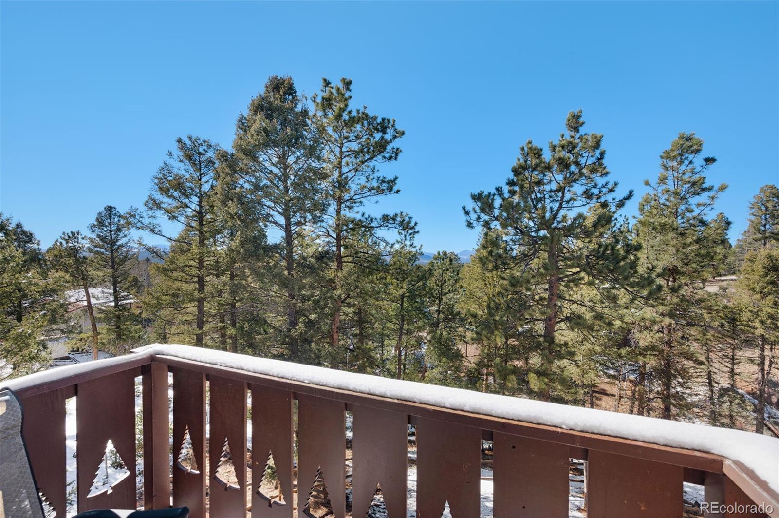 MLS Image #24 for 1276  pinewood road,florissant, Colorado