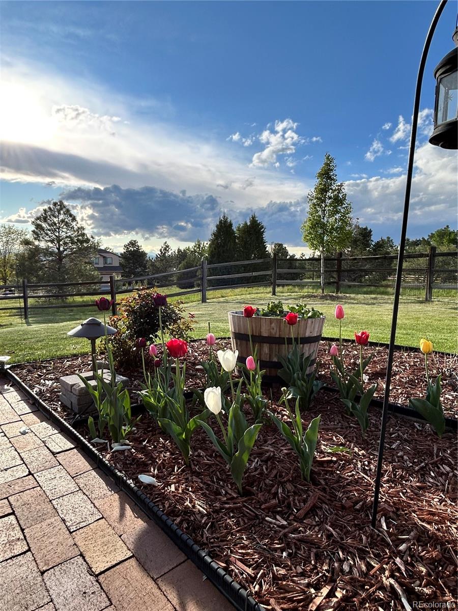 MLS Image #29 for 1705  pinyon drive,castle rock, Colorado