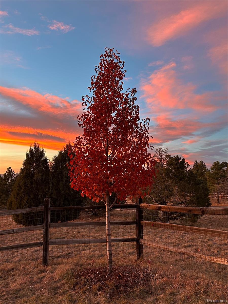 MLS Image #30 for 1705  pinyon drive,castle rock, Colorado