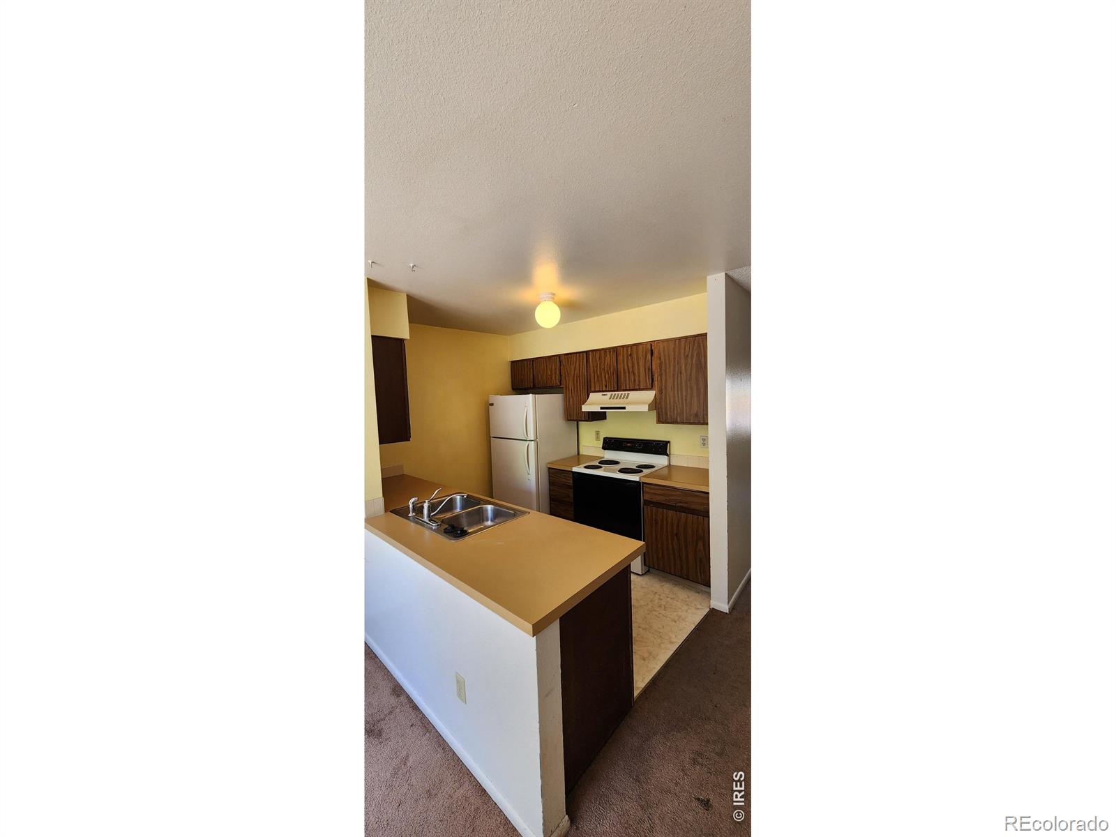 MLS Image #10 for 2818  sagebrush drive,fort collins, Colorado
