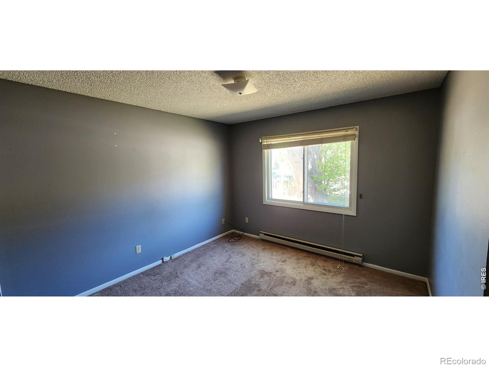 MLS Image #4 for 2818  sagebrush drive,fort collins, Colorado