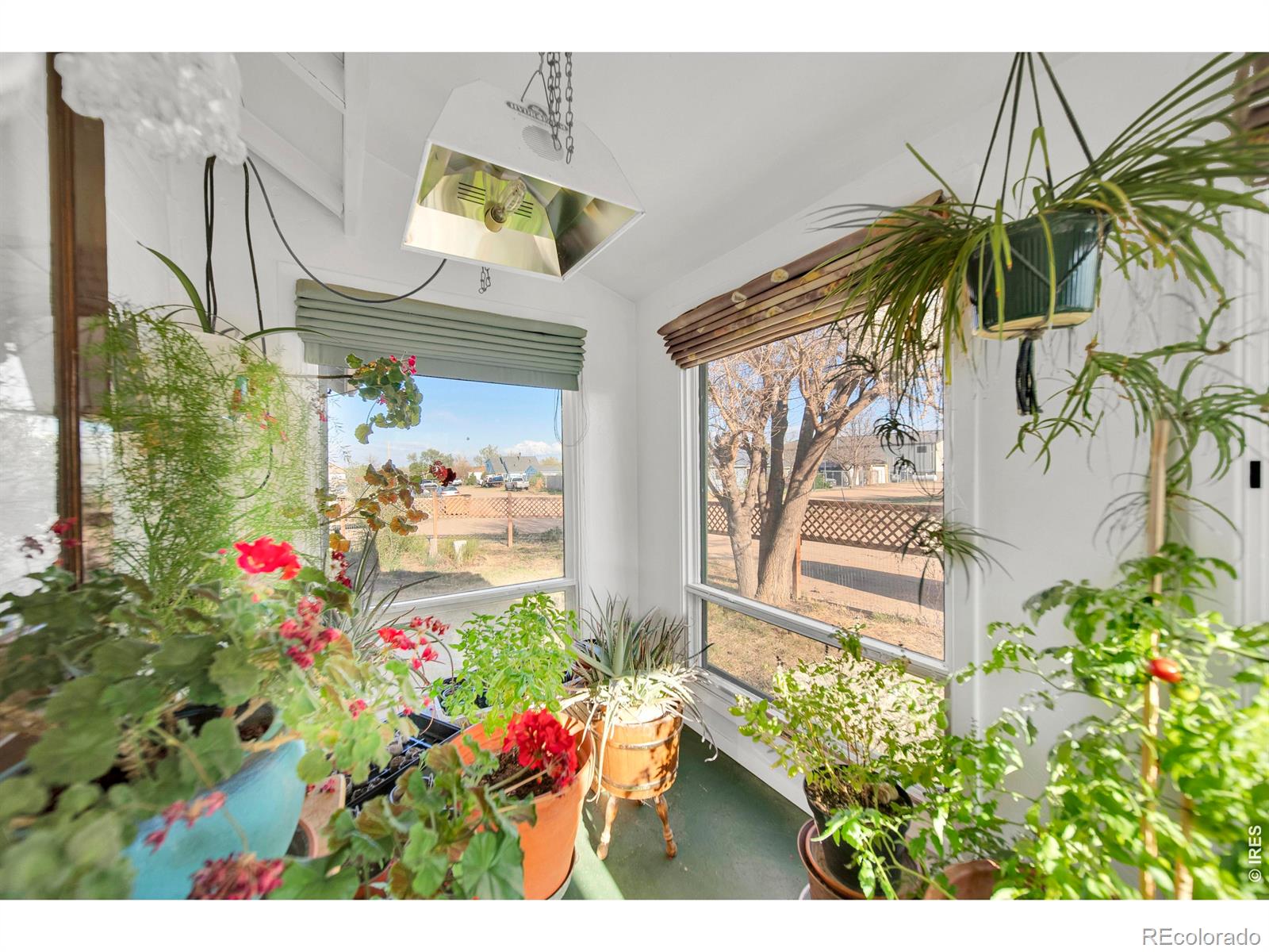 MLS Image #4 for 29311  4th street,snyder, Colorado