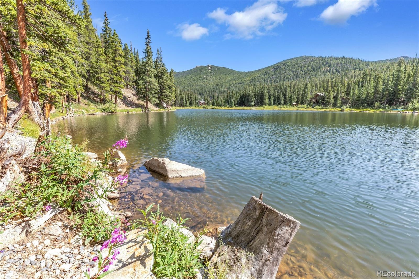 MLS Image #10 for 169  lake road,idaho springs, Colorado