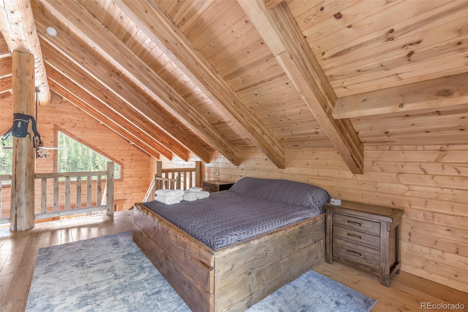 MLS Image #17 for 169  lake road,idaho springs, Colorado