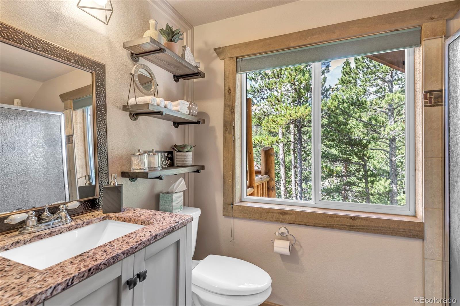 MLS Image #21 for 169  lake road,idaho springs, Colorado
