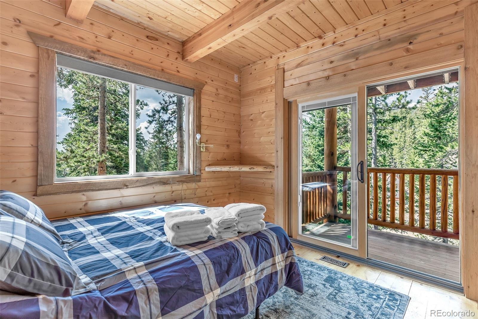MLS Image #22 for 169  lake road,idaho springs, Colorado