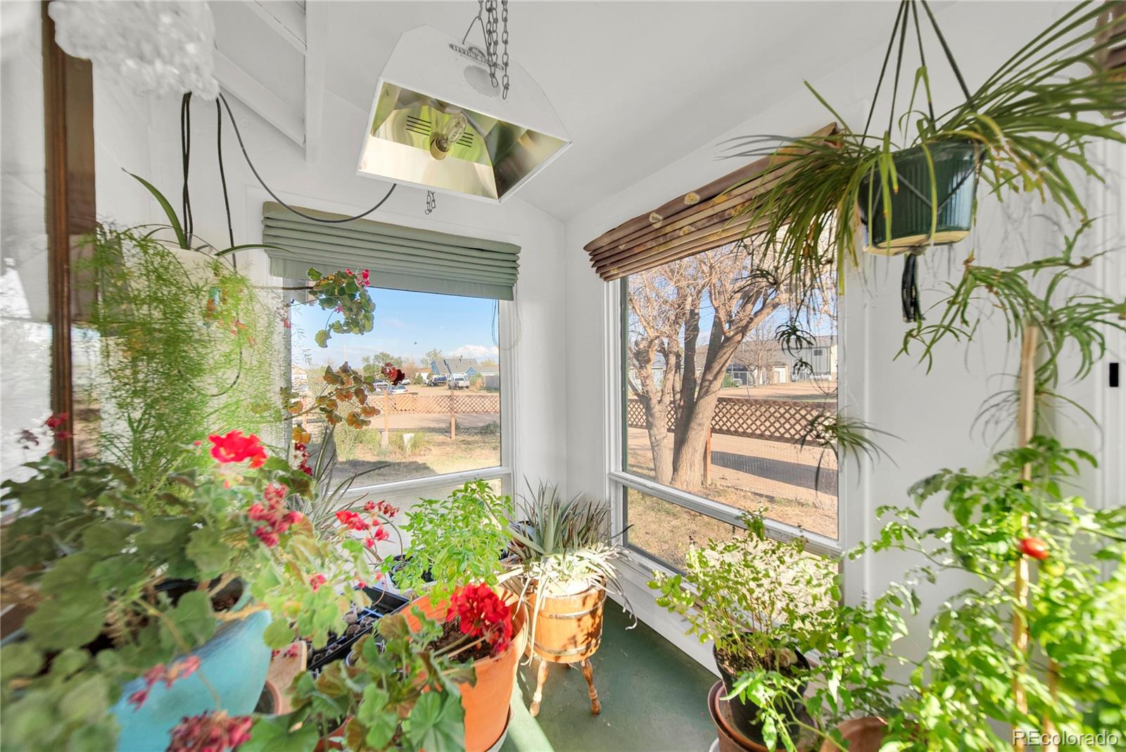 MLS Image #6 for 29311  4th street,snyder, Colorado