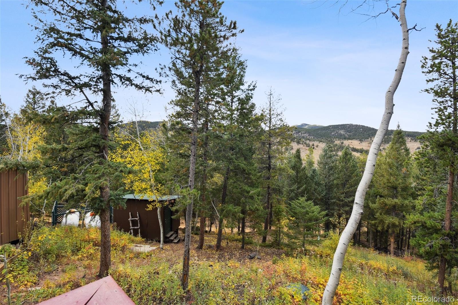 MLS Image #48 for 7952  kunst road,golden, Colorado