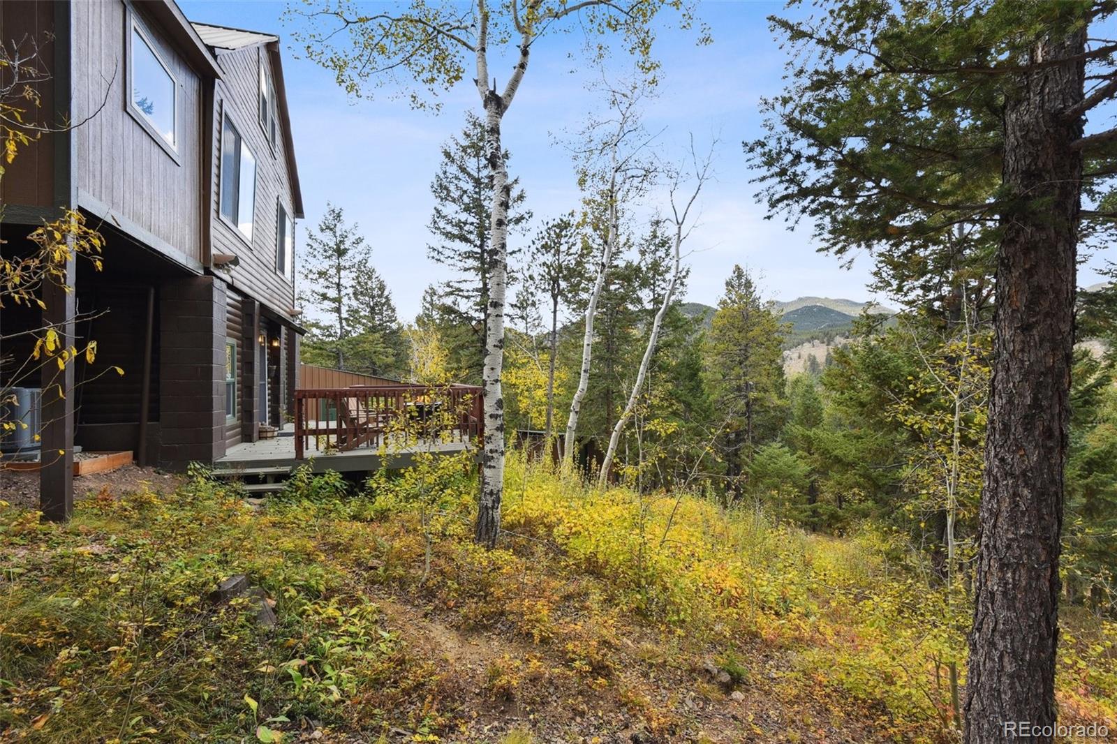 MLS Image #49 for 7952  kunst road,golden, Colorado