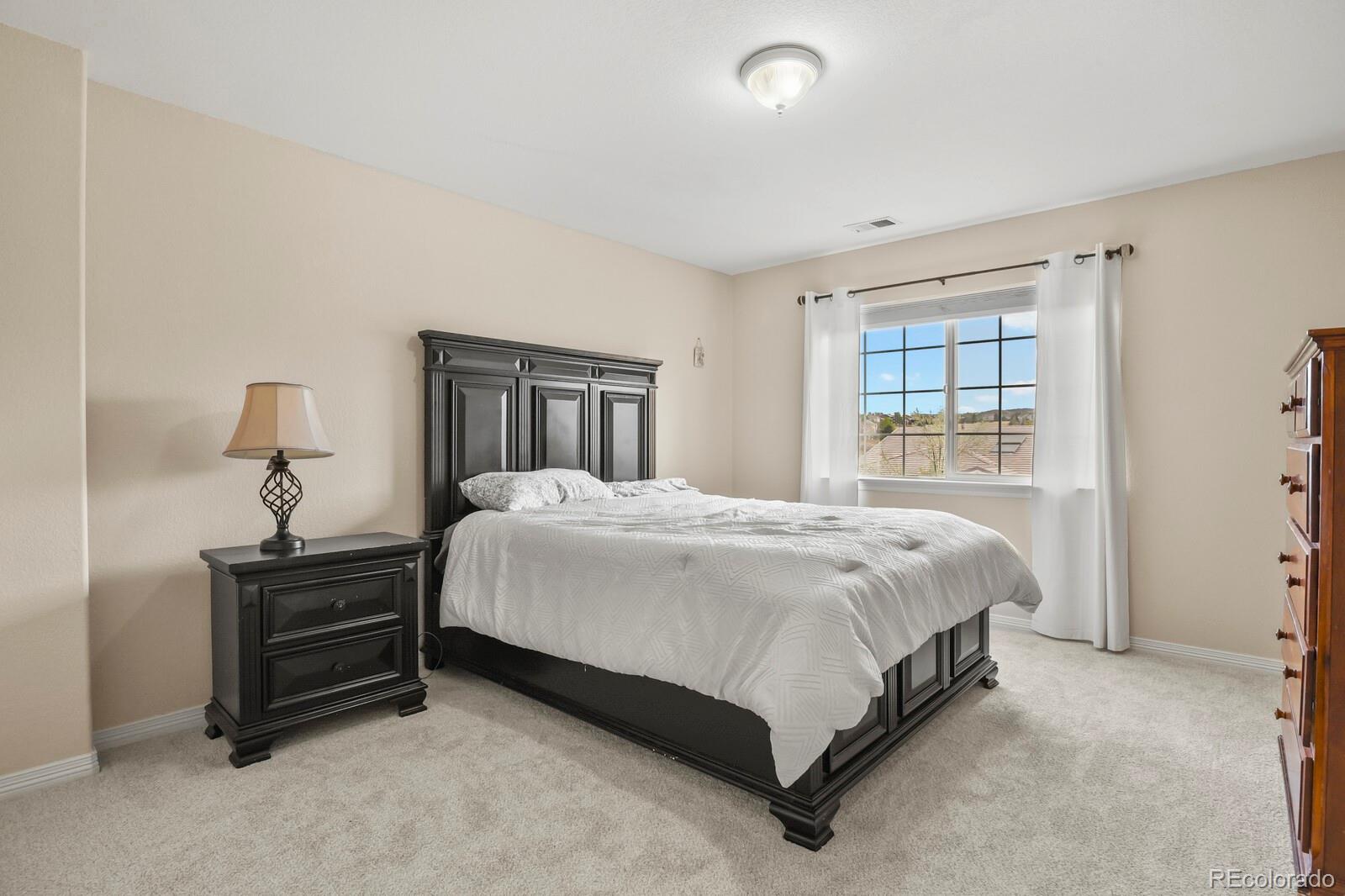 MLS Image #22 for 10081  charissglen lane,highlands ranch, Colorado