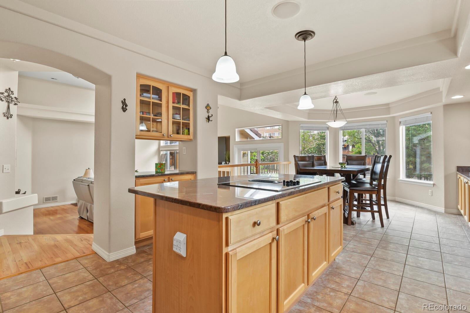 MLS Image #7 for 10081  charissglen lane,highlands ranch, Colorado