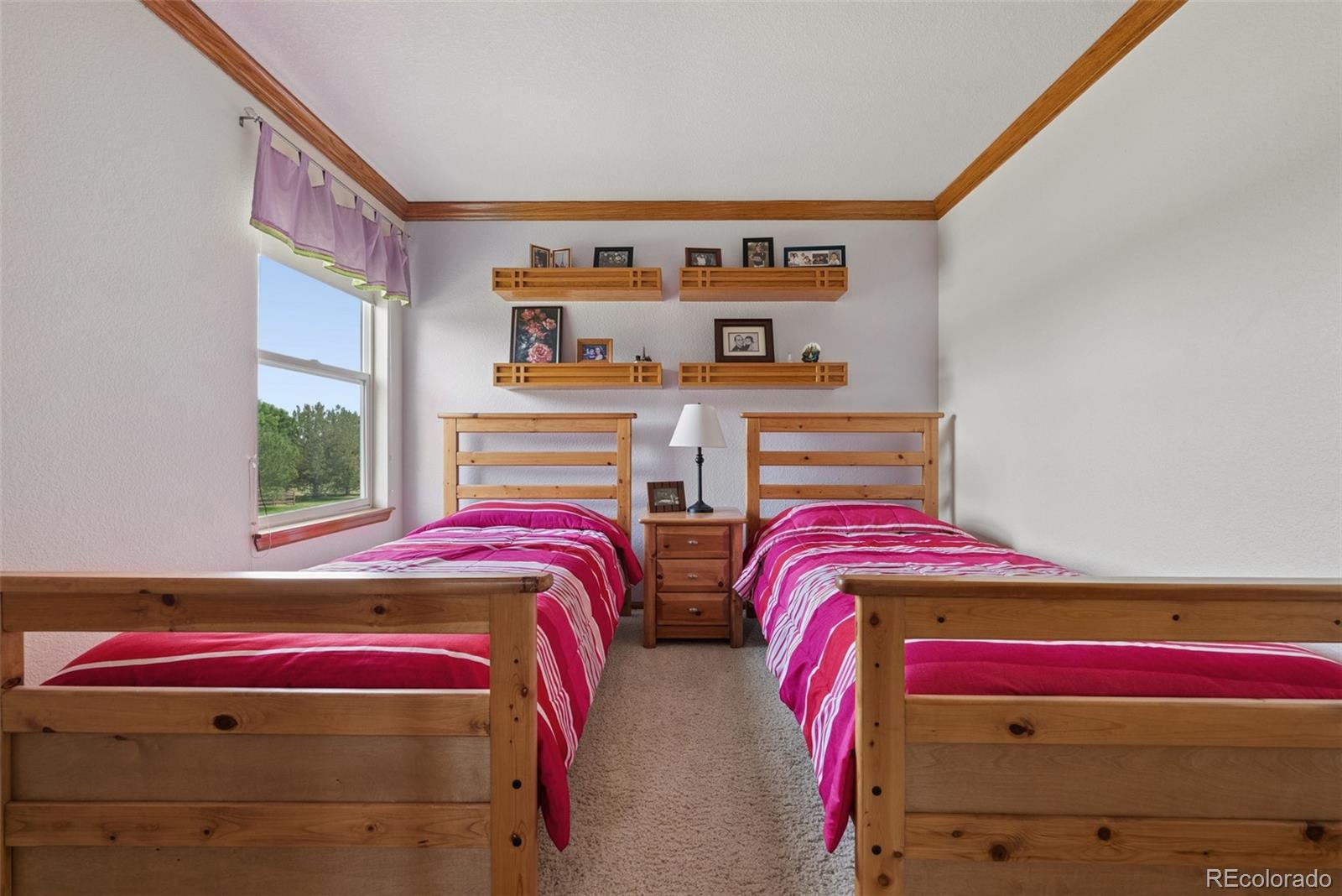 MLS Image #30 for 13224  ivy court,thornton, Colorado