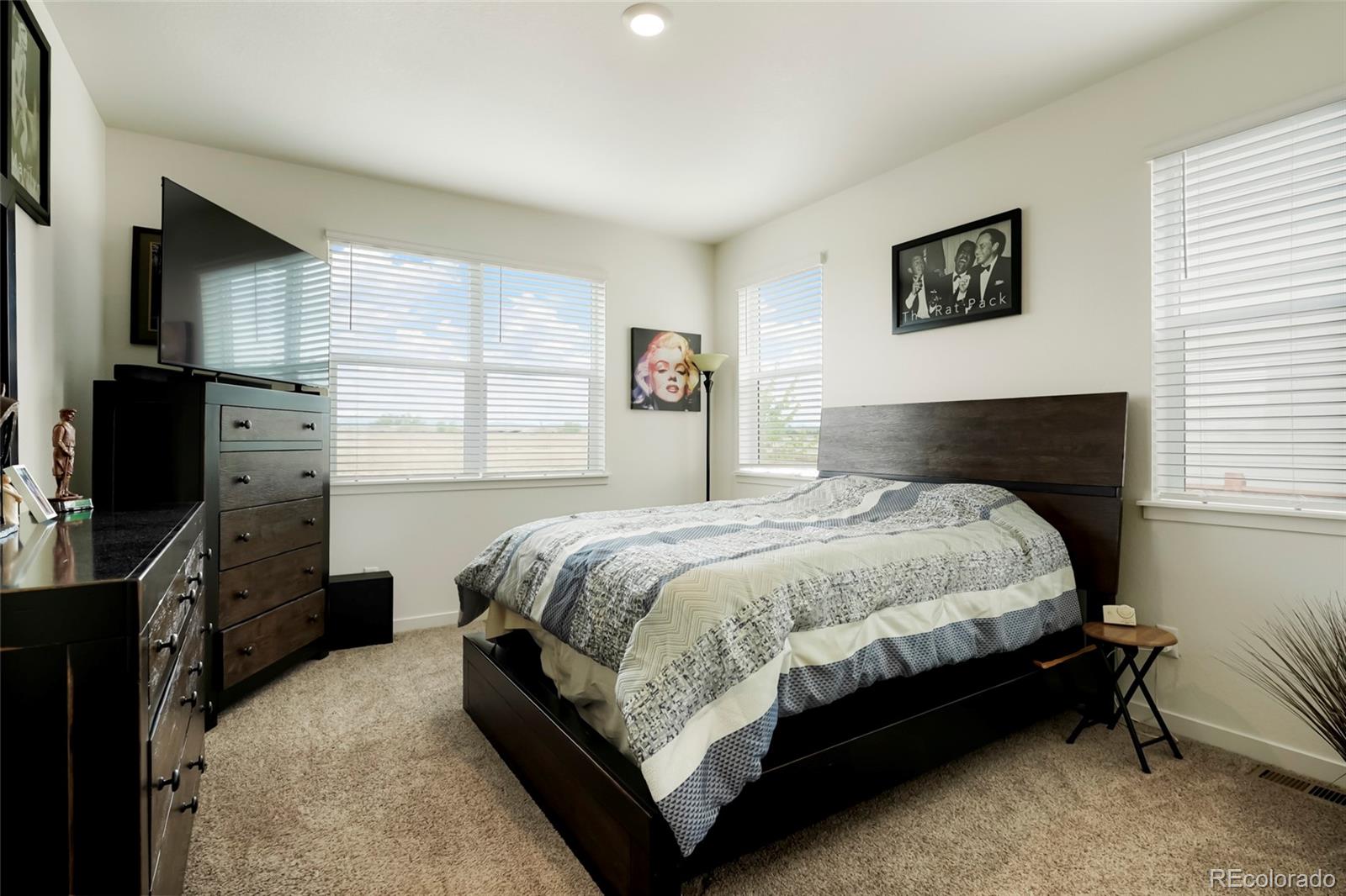MLS Image #12 for 4155  limestone avenue,longmont, Colorado
